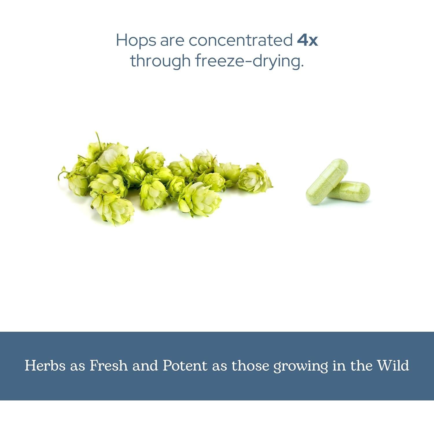 Cápsulas de Lúpulo Ecléctico 90 CT | Suplemento Herbal Vegano