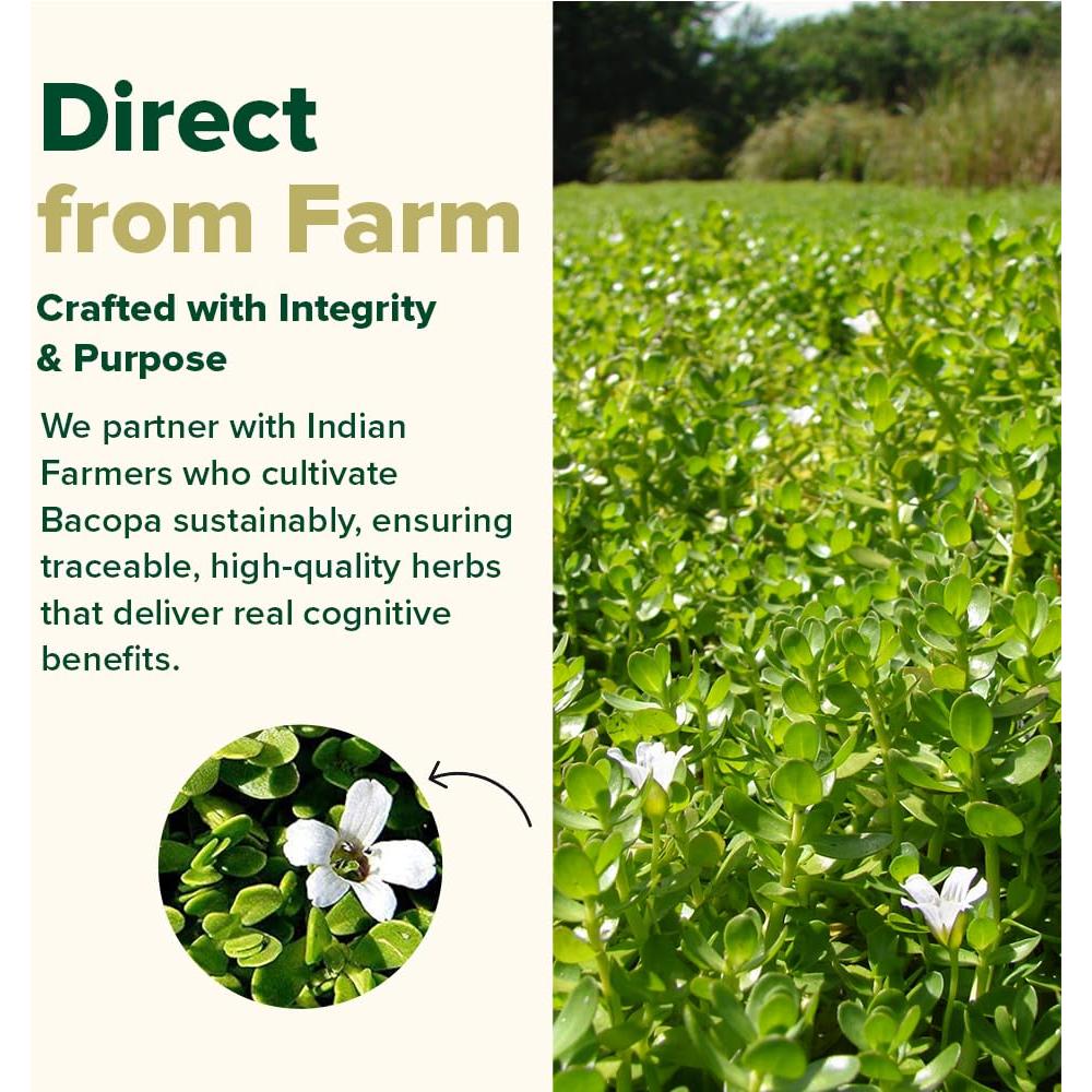 Cápsulas de Bacopa Monnieri VAHDAM 1000mg 90 Veganas