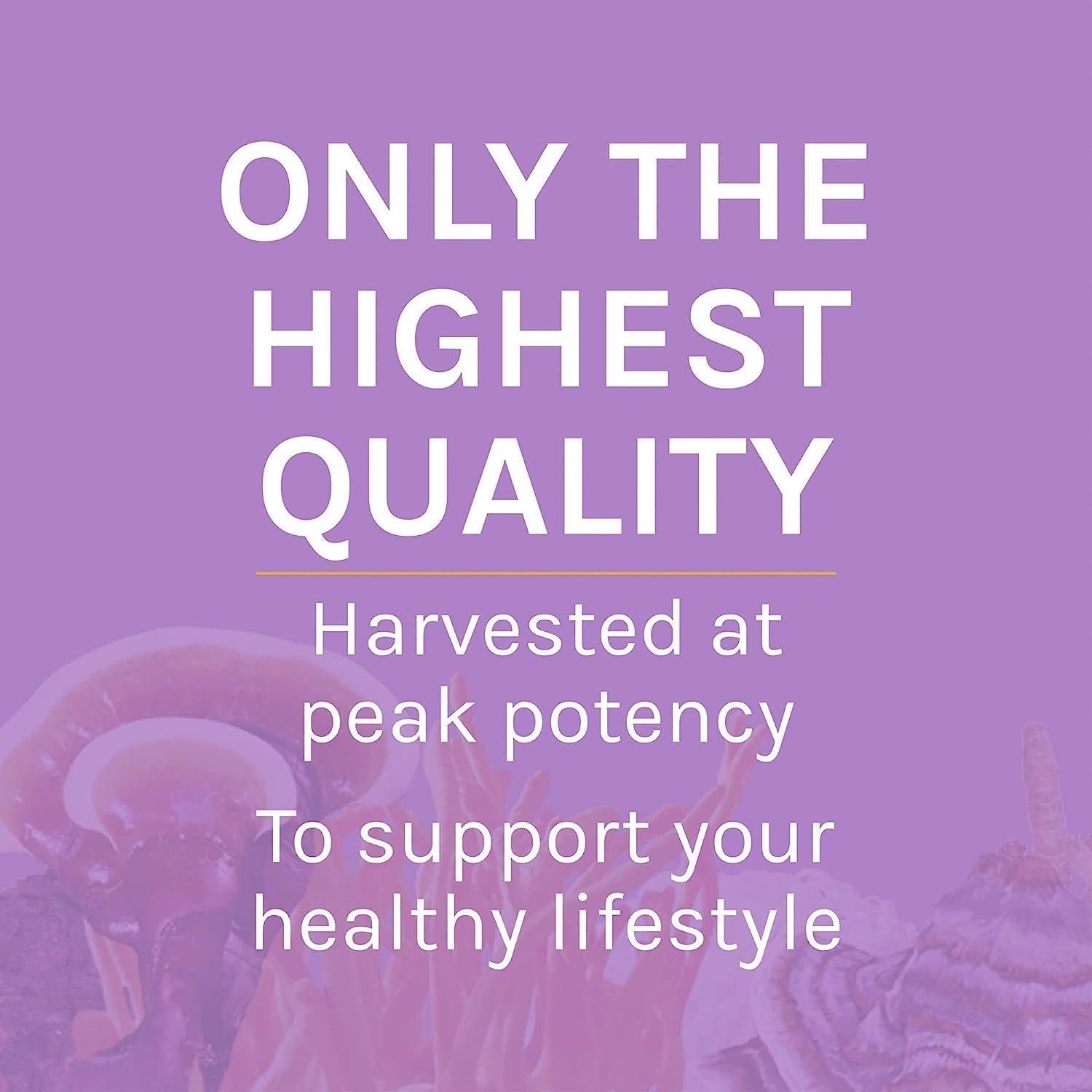 Polvo de Melena de León Host Defense 99.22 g - Suplemento Cerebral