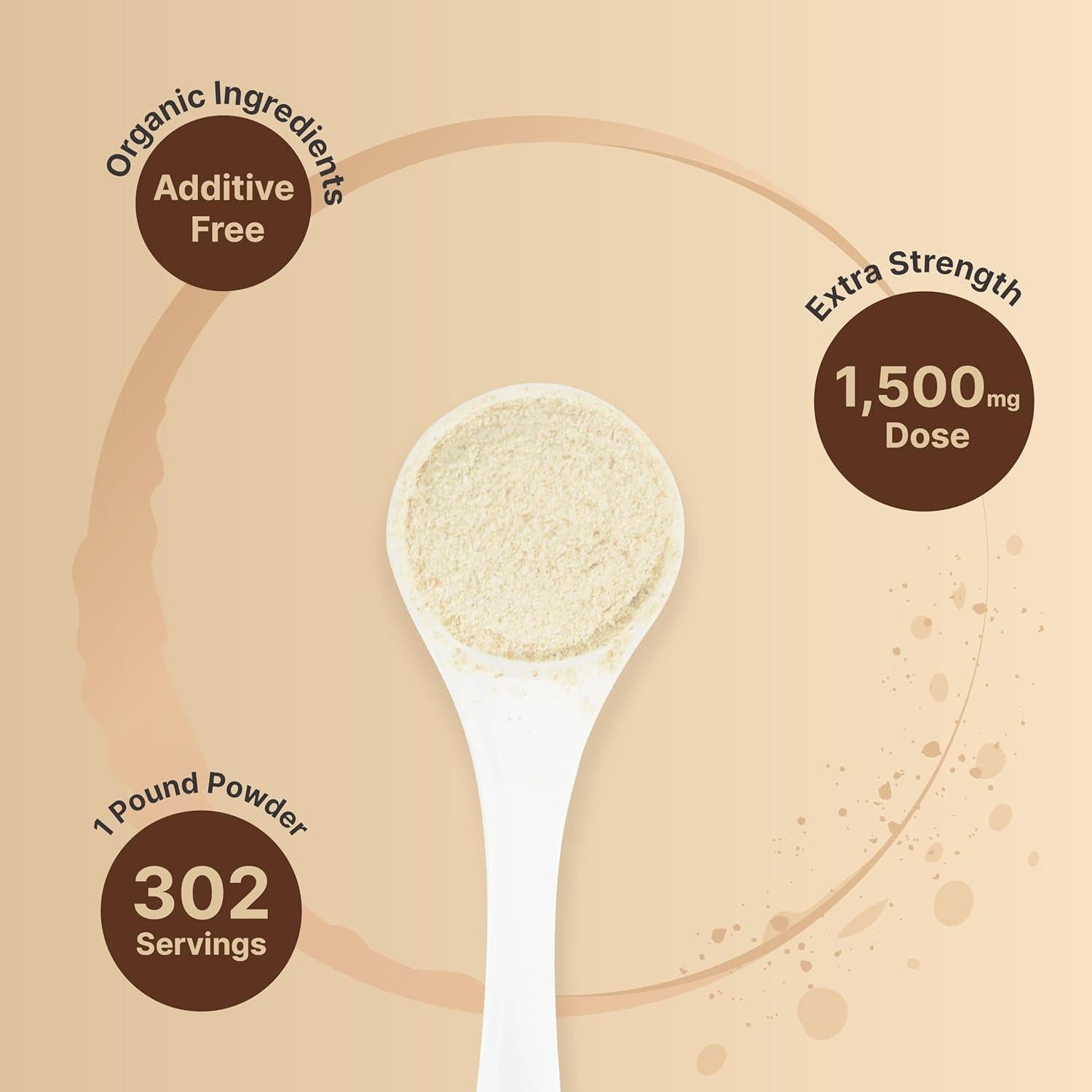 Polvo de Melena de León Orgánico NatureBell 1500mg 0.45kg