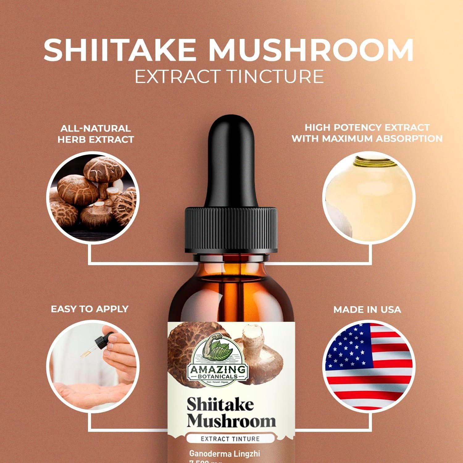 Extracto de Hongo Shiitake Amazing Botanicals 7500mg 30% Polisacáridos