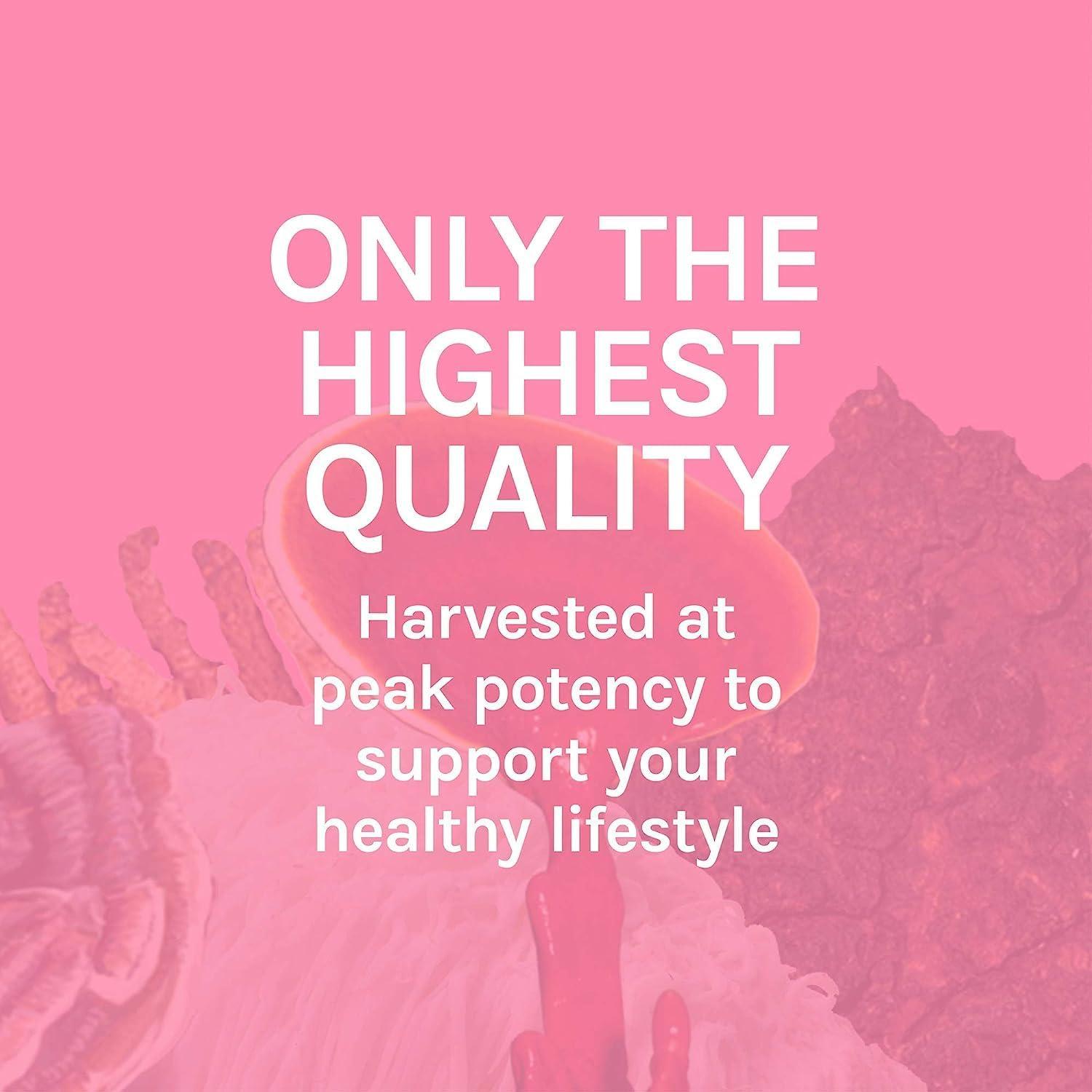 Cápsulas de Cola de Pavo Host Defense - 30 Cápsulas Digestivas