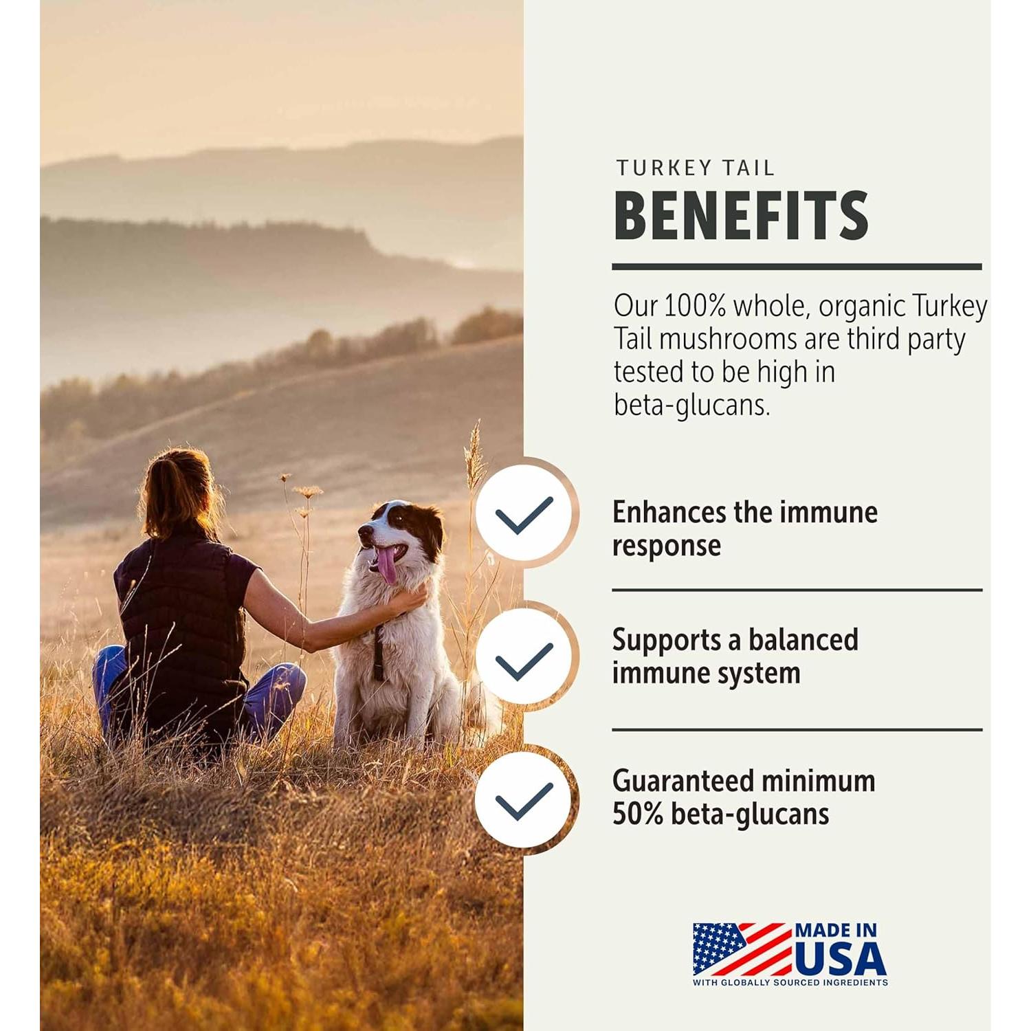 Suplemento Hongo Cola de Pavo Four Leaf Rover 60 Días