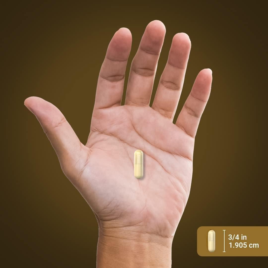 Cápsulas de Hongo Cola de Pavo Piping Rock 1200mg 200 Píldoras