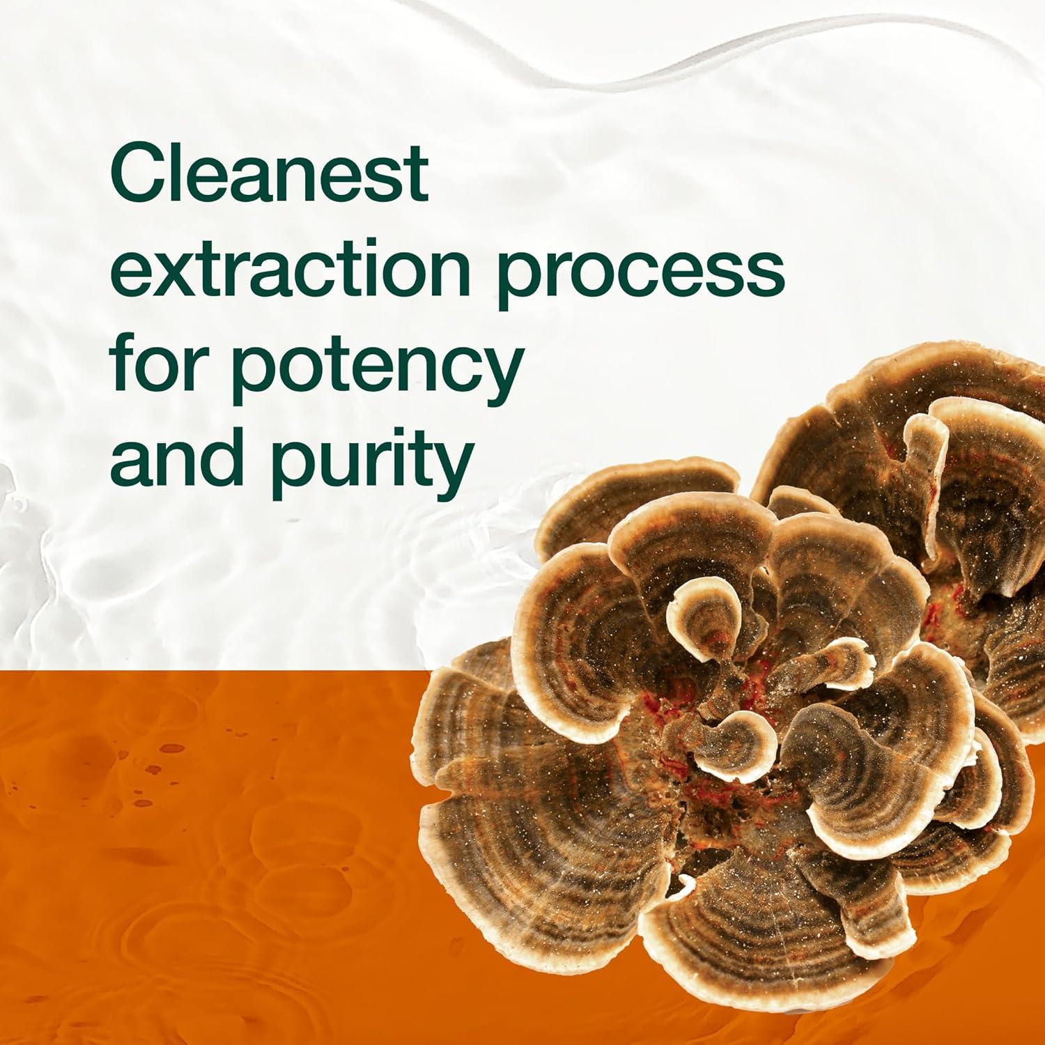 Suplemento de Hongo Cola de Pavo Orgánico Fresh Nutrition - 1500mg - 90 Cápsulas Veganas