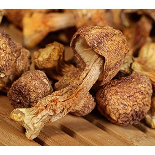 Champiñones Agaricus Blazei Secos Premium 396g - New Green Nutrition
