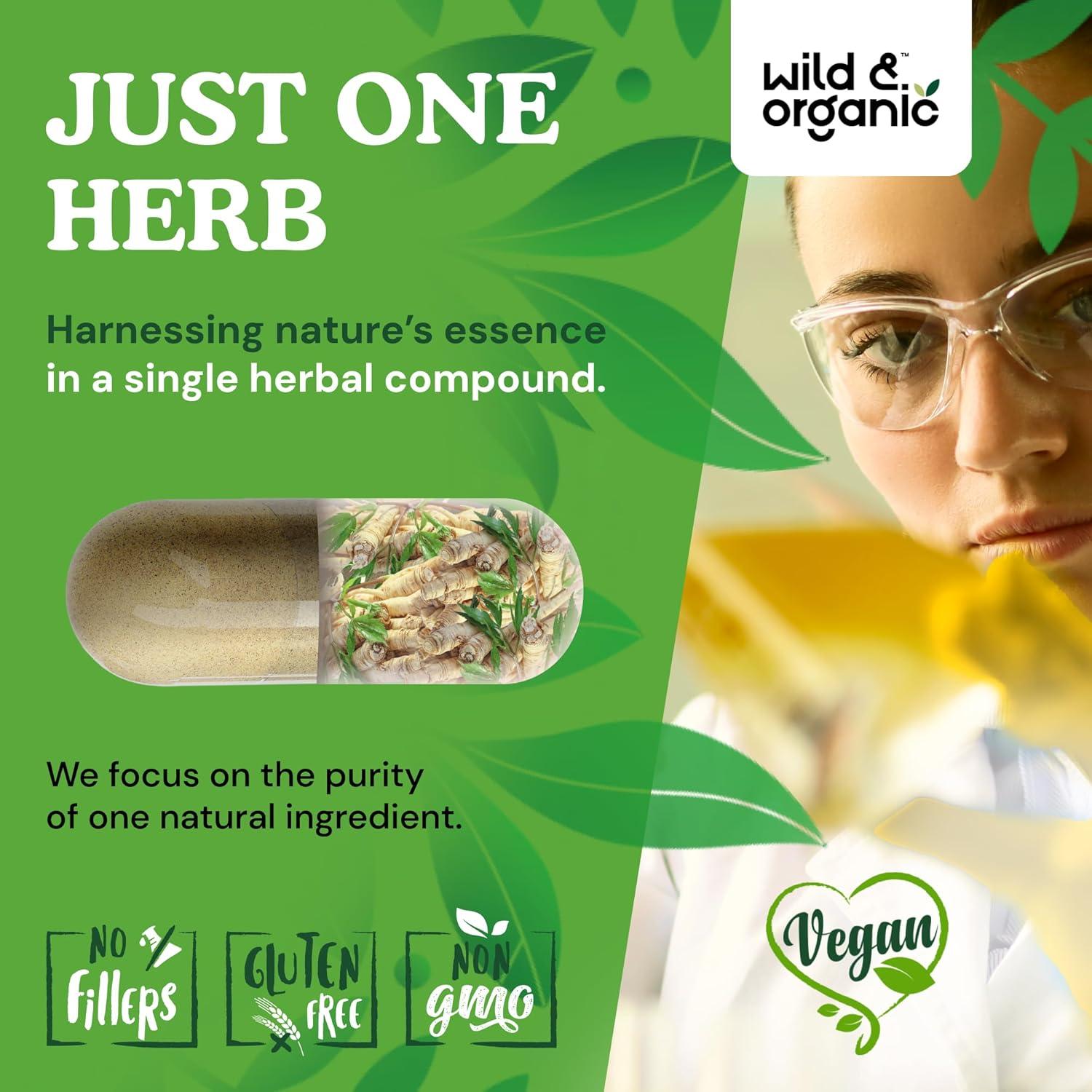 Cápsulas de Dong Quai Silvestre y Orgánico 1000 mg - 180 Unidades