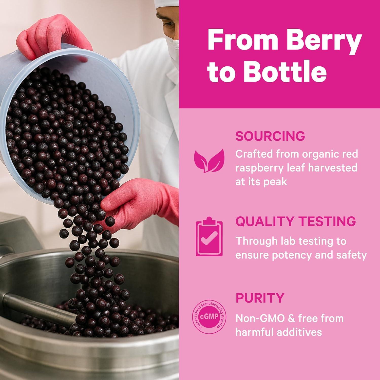 Pink Stork Vitex Orgánico 1000 mg - Baya del Árbol de la Castidad - 60 Cápsulas Veganas