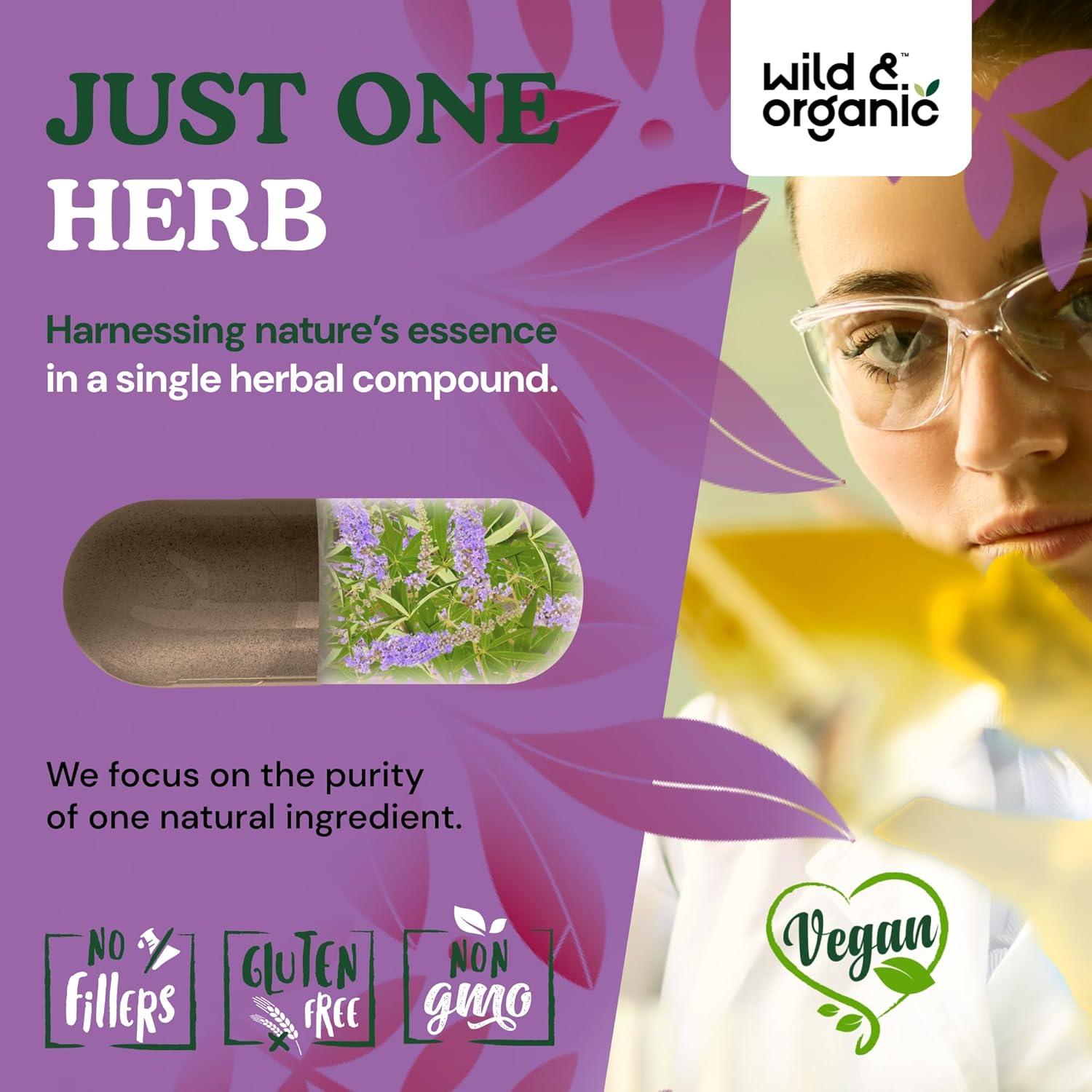 Suplemento Vitex Chasteberry Silvestre 60 Cápsulas Veganas