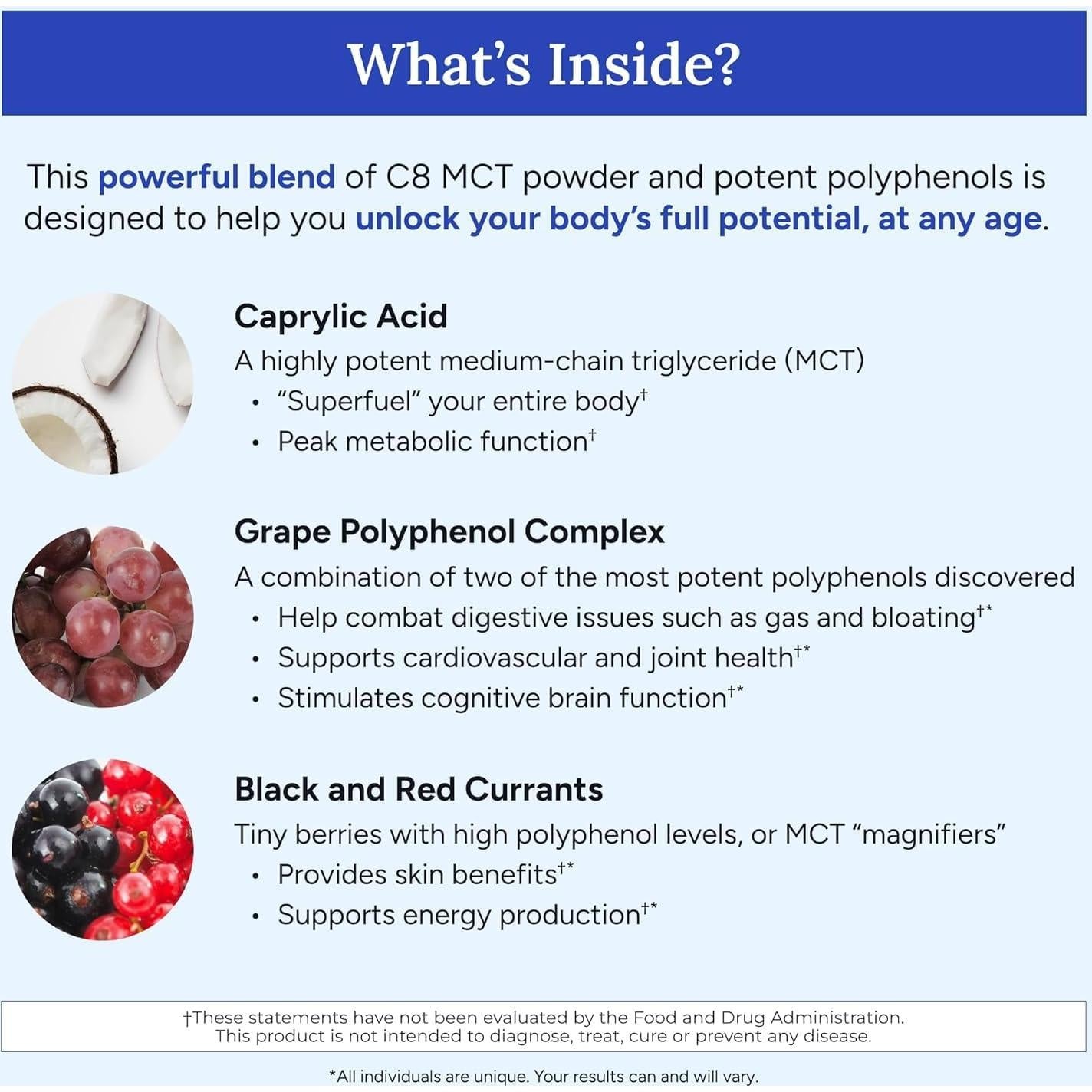 Gundry MD MCT Wellness Powder 216g Sabor Frambuesa Keto