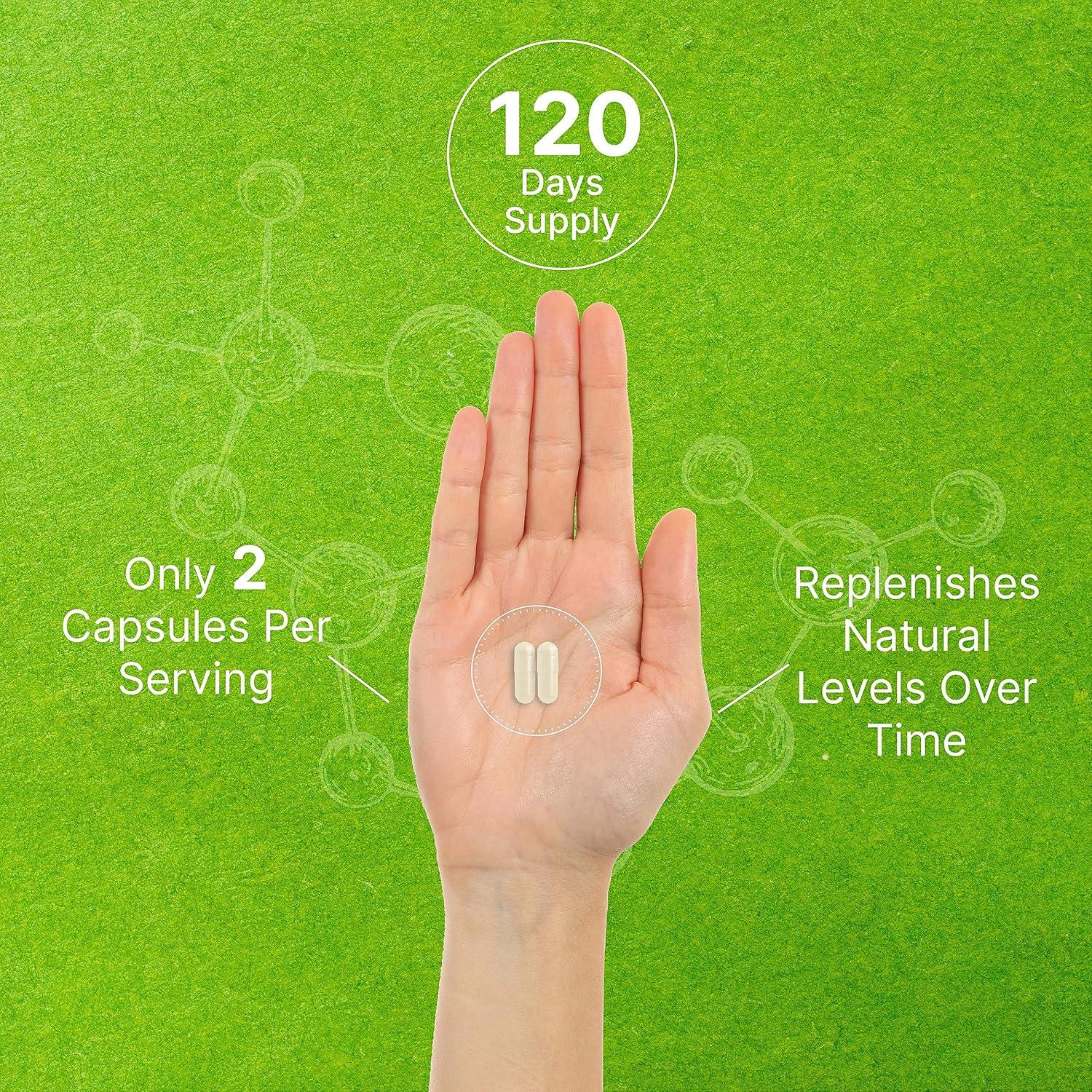 Suplemento Fosfatidilserina 400mg - 240 Cápsulas Deal Supplement