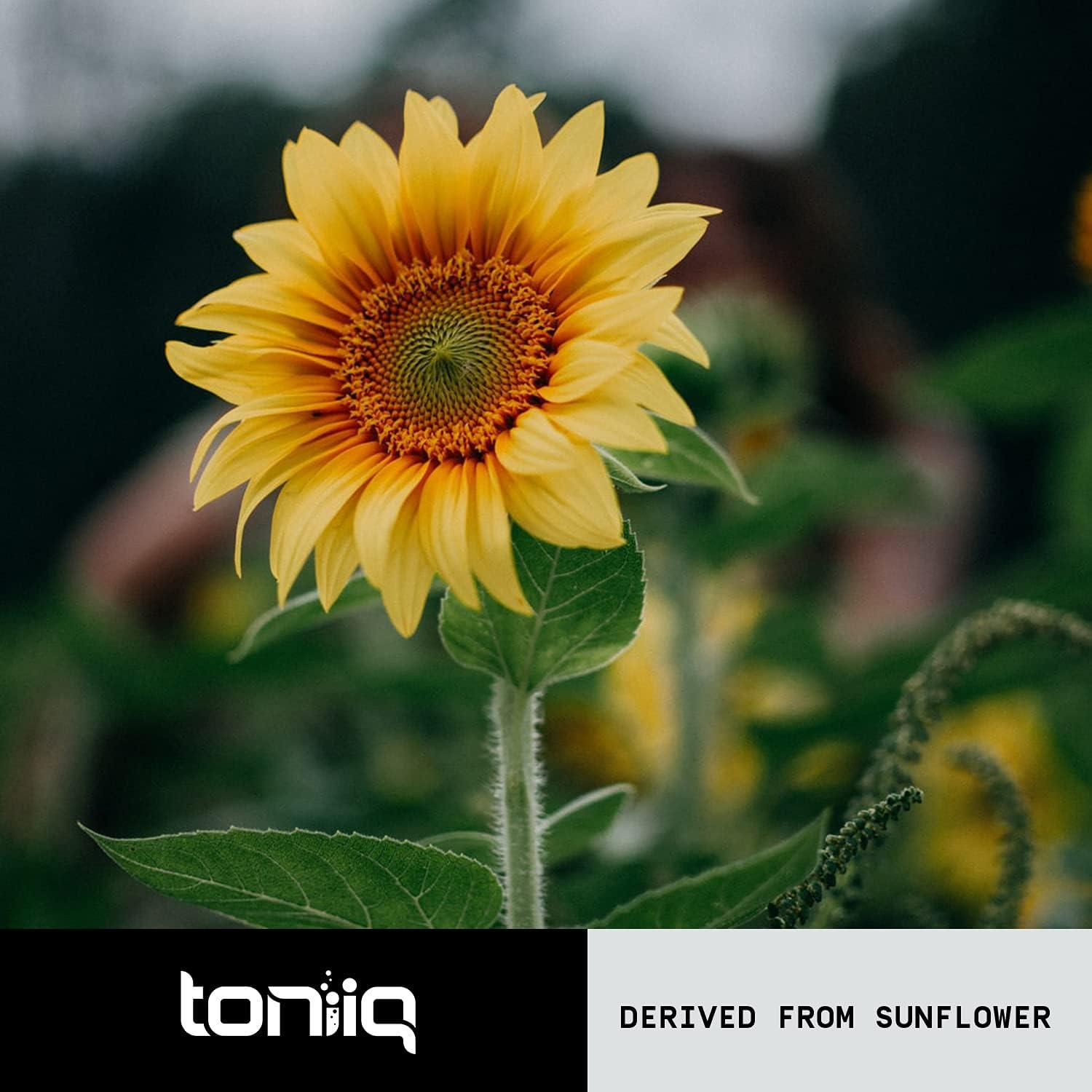 Suplemento Fosfatidilserina Toniiq 400mg 90 Cápsulas Vegetales