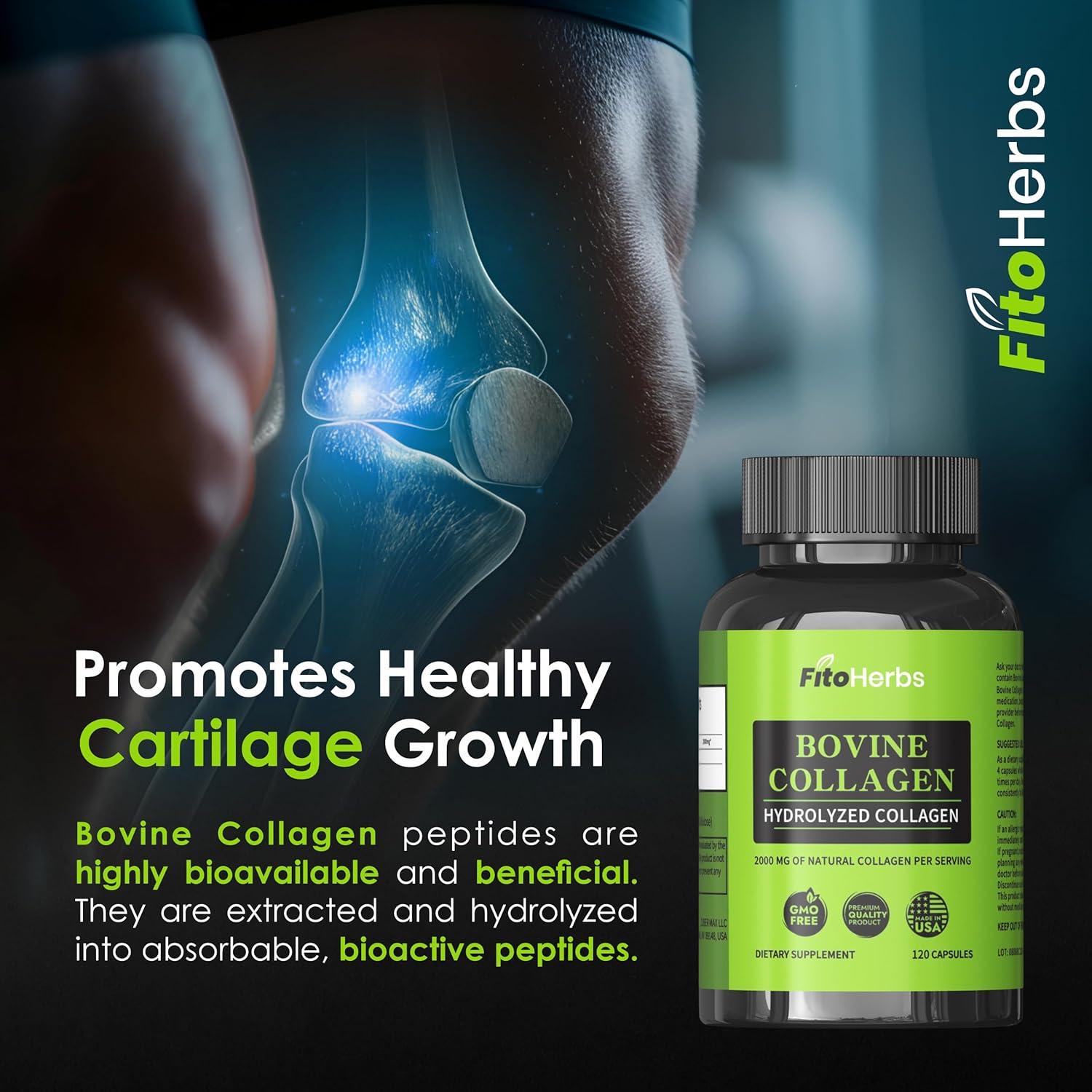 Cápsulas de Colágeno Hidrolizado FitoHerbs - 120 Unidades