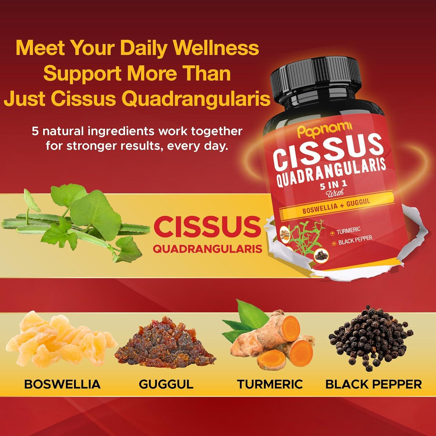 Cápsulas de Extracto de Cissus Papnami 90 Unidades - Suplemento Herbal