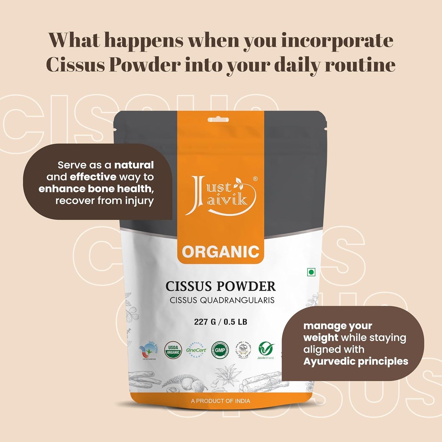 Polvo de Cissus Orgánico Just Jaivik 227g - Suplemento Herbal