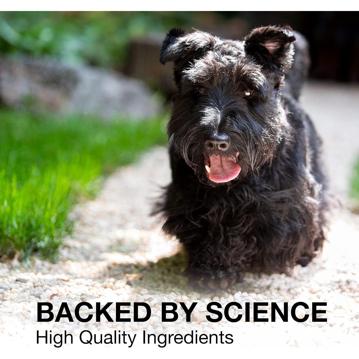 Suplemento Hepático y Cerebral Nutramax Denosyl 30 Tabletas