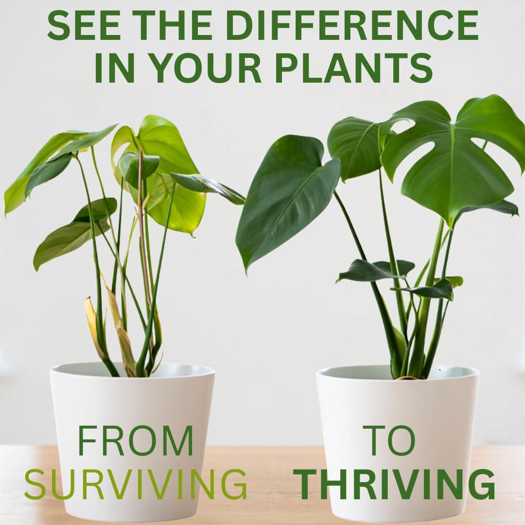 Suplemento Silica Strength 236.6 ml - Fortalece Plantas de Interior