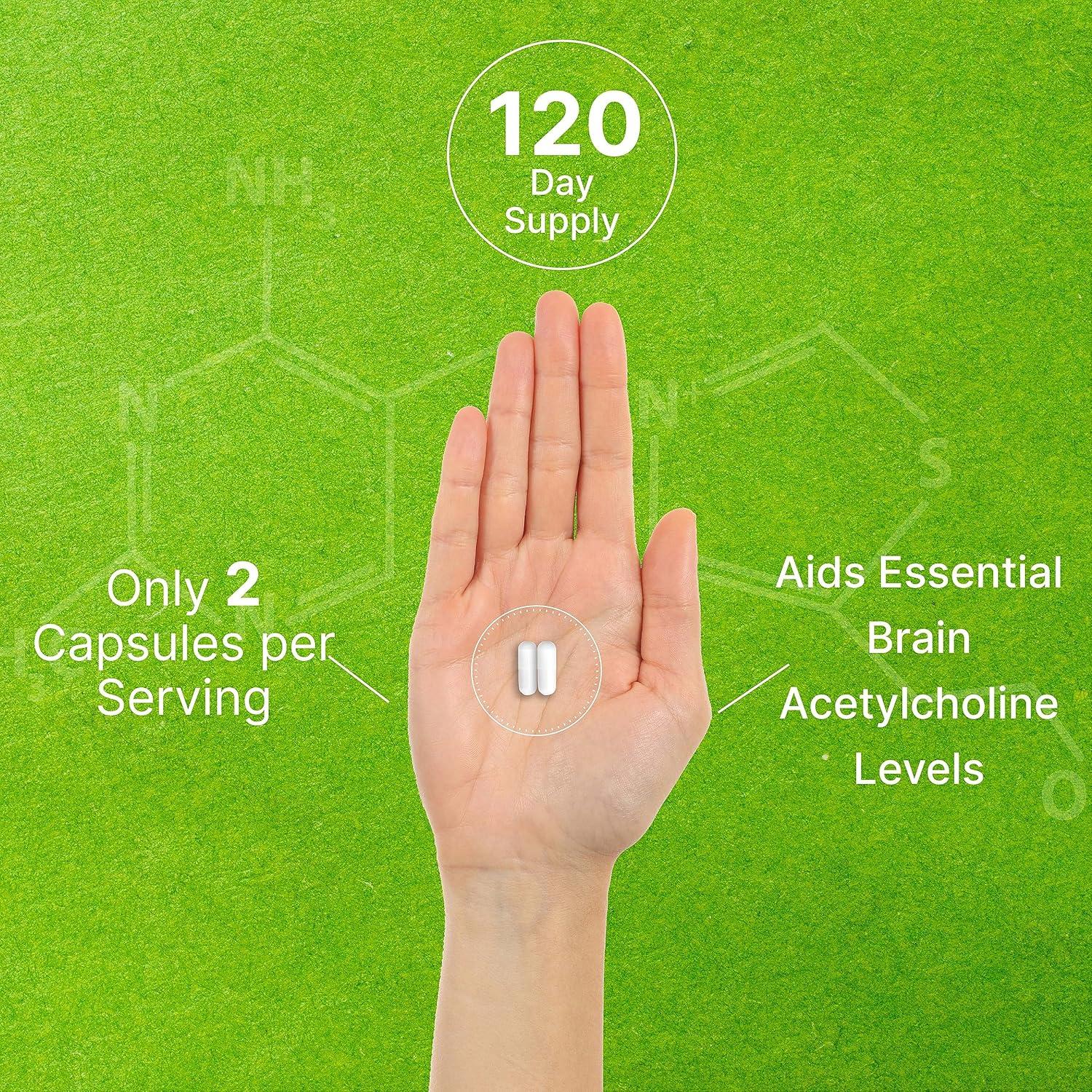 Alpha GPC 600mg 240 Cápsulas - Suplemento Nootrópico Salud Cerebral