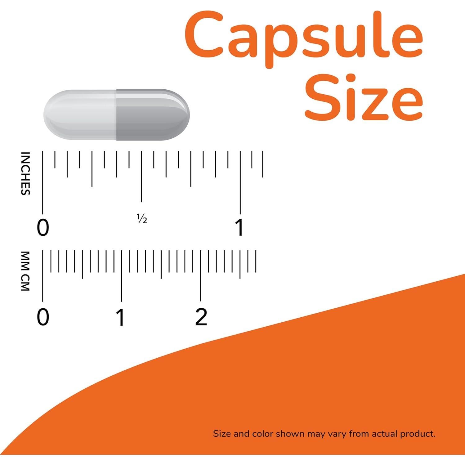 NOW L-Tirosina 500 mg 120 Cápsulas - Apoyo Mental y Glandular