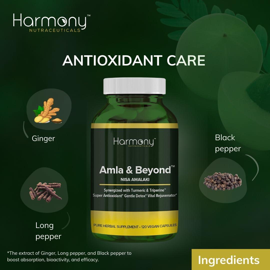 Cápsulas de Amla y Cúrcuma Dr. Gumman 120 Unidades