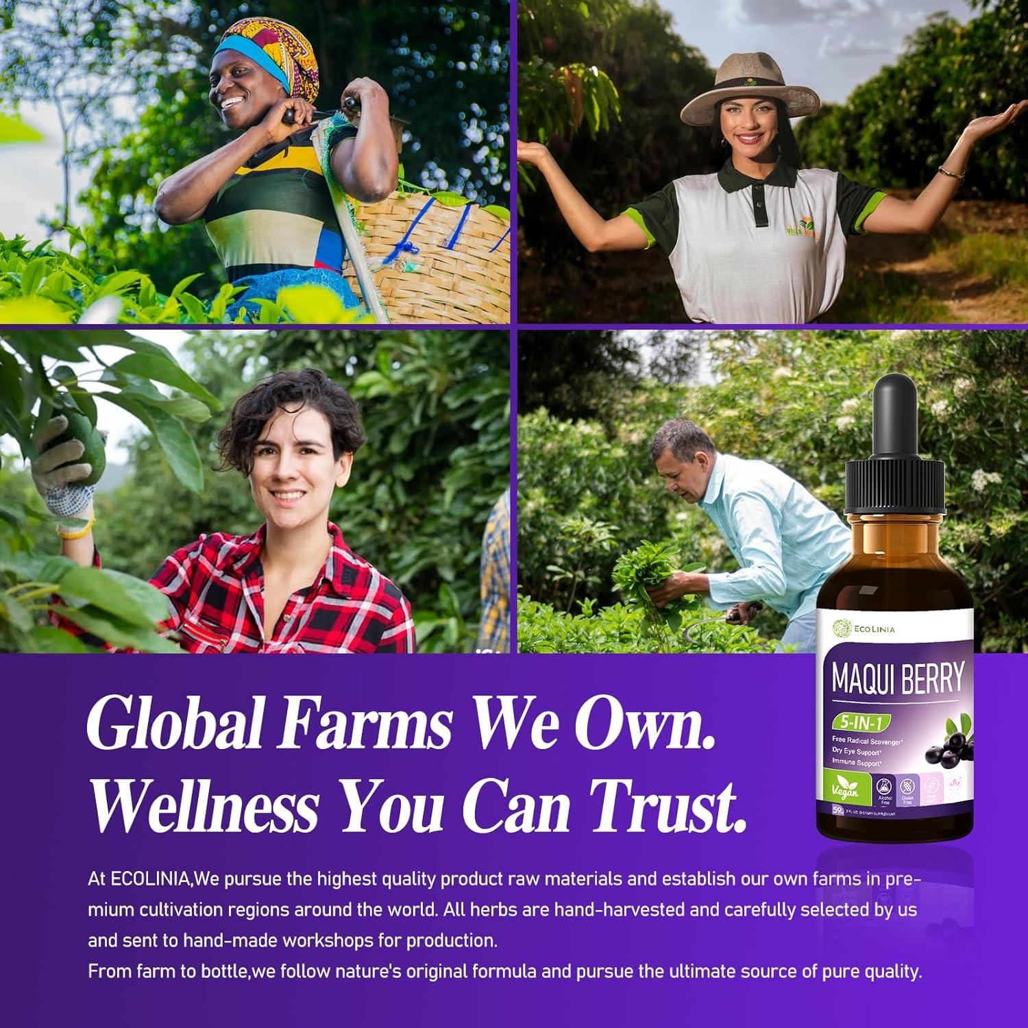 Gotas de Maqui Berry Ecolinia 59 ml - Salud Ocular y Inmunológica