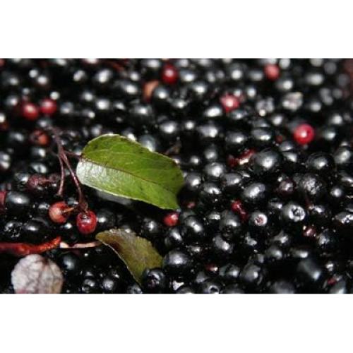 Cápsulas de Baya de Maqui Orgánico Isla Natura 500 mg