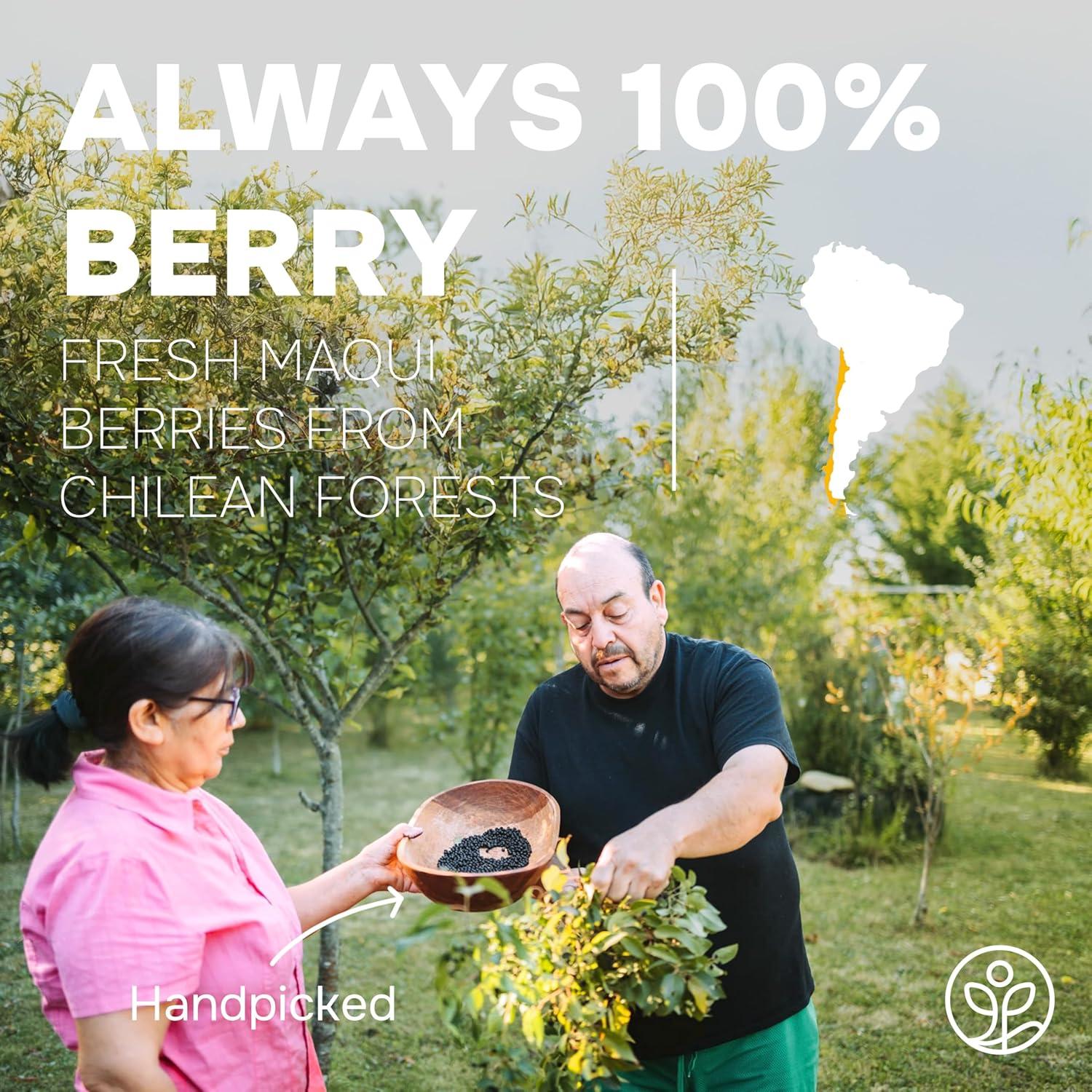 Polvo de Maqui Berry Orgánico Jungle Powders 142g - Antioxidante