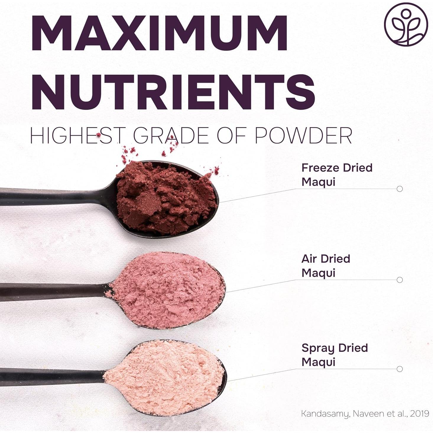 Polvo de Maqui Berry Orgánico Jungle Powders 142g - Antioxidante