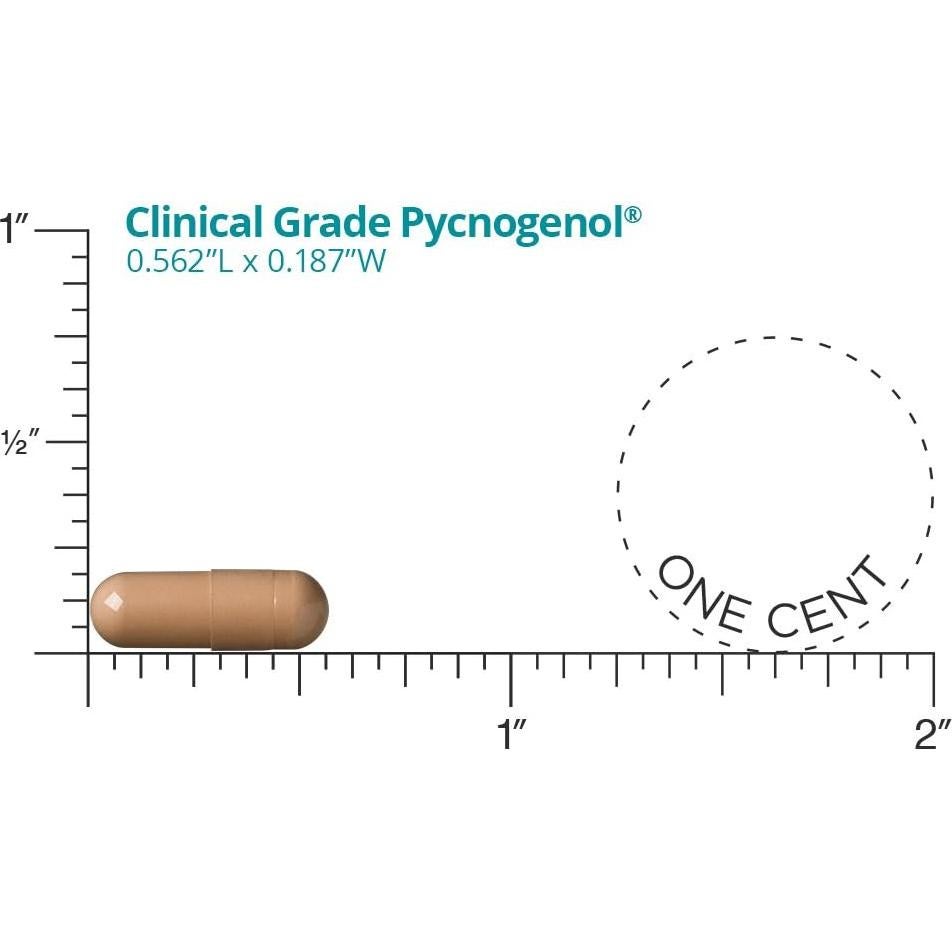 Pycnogenol 50mg Dr. Whitaker 60 Cápsulas - Antioxidante Premium