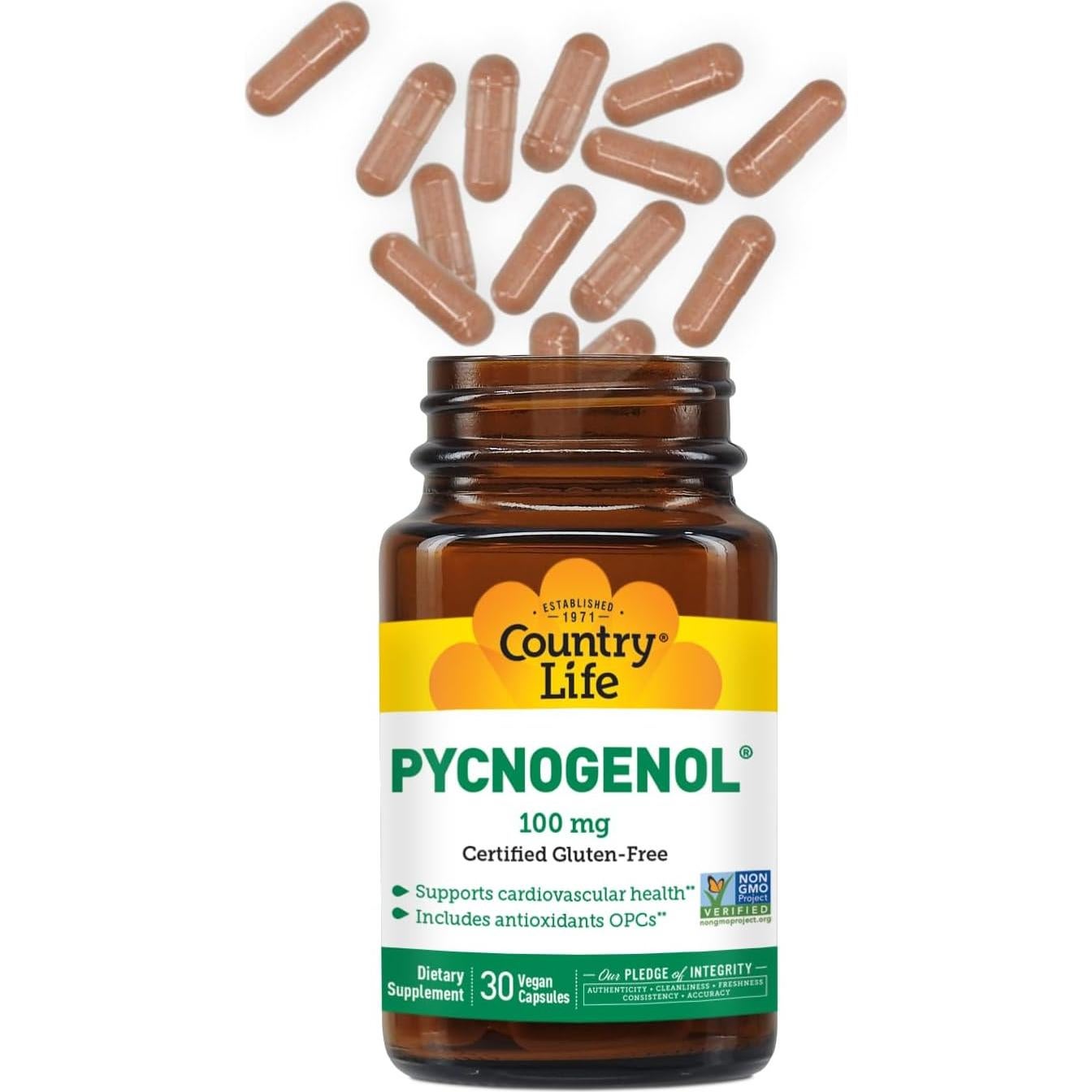 Suplemento Antioxidante Pycnogenol 100mg Country Life - 30 Cápsulas