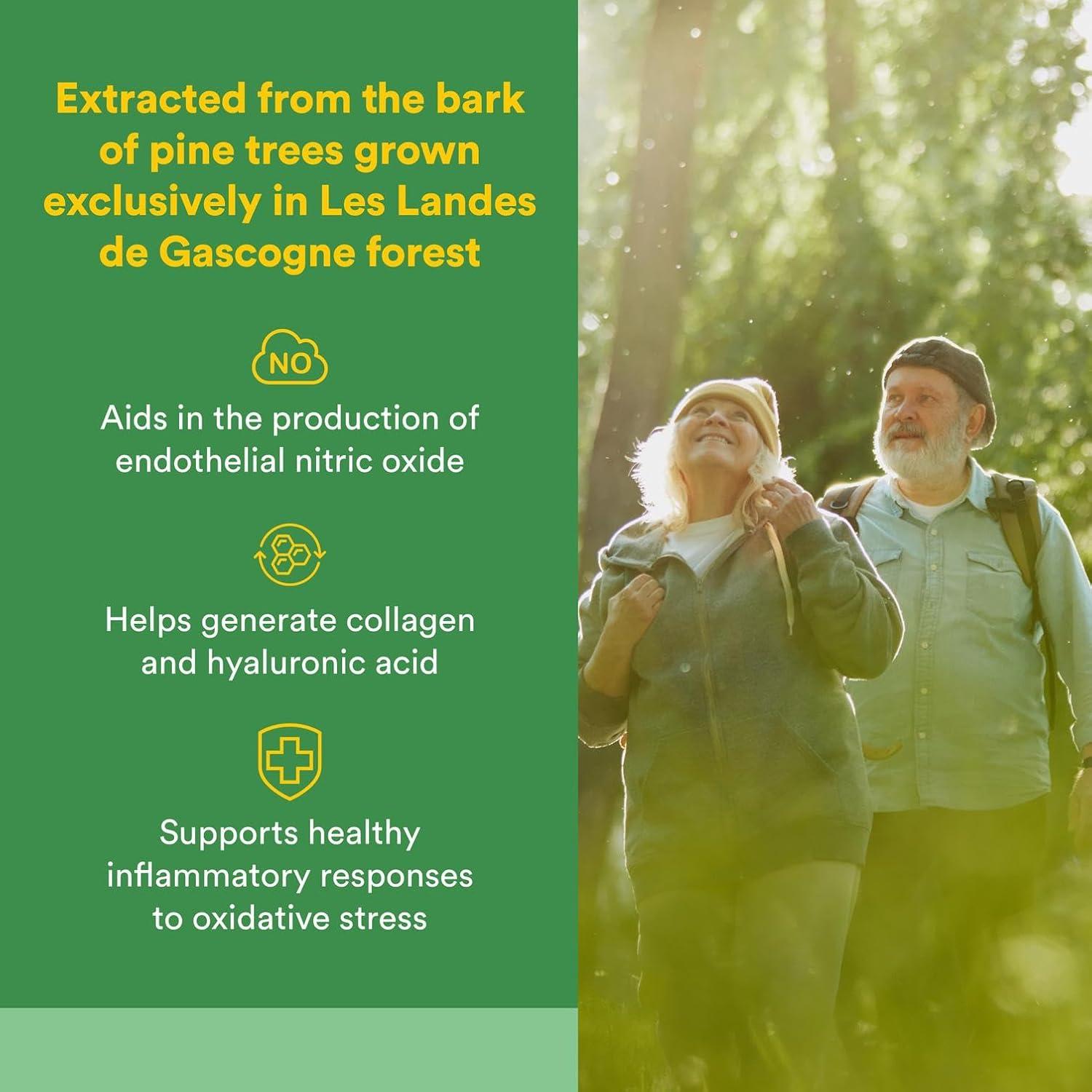 Suplemento Antioxidante Natural Factors Pycnogenol 25 mg 60 Cápsulas