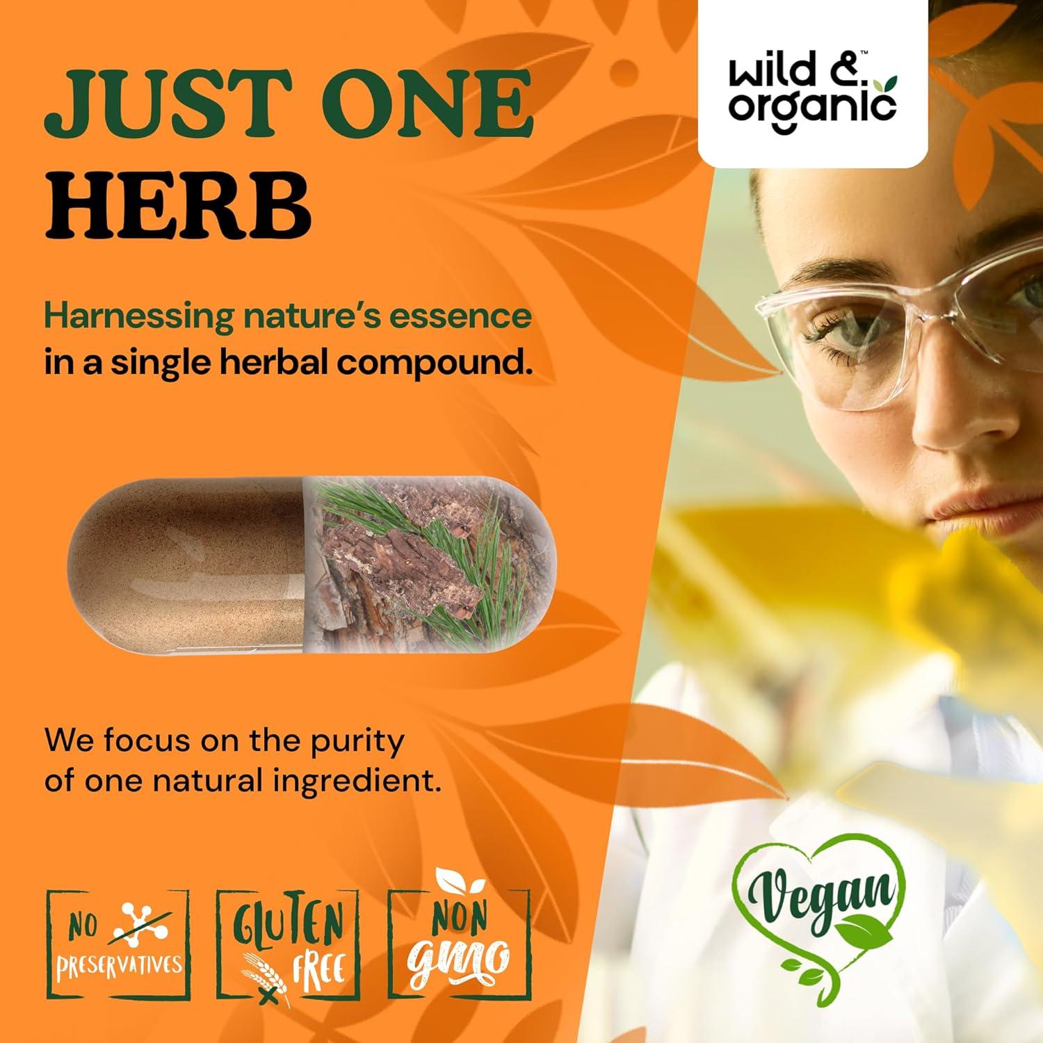 Cápsulas de Corteza de Pino Silvestre Orgánico 300 mg - 180 Unidades