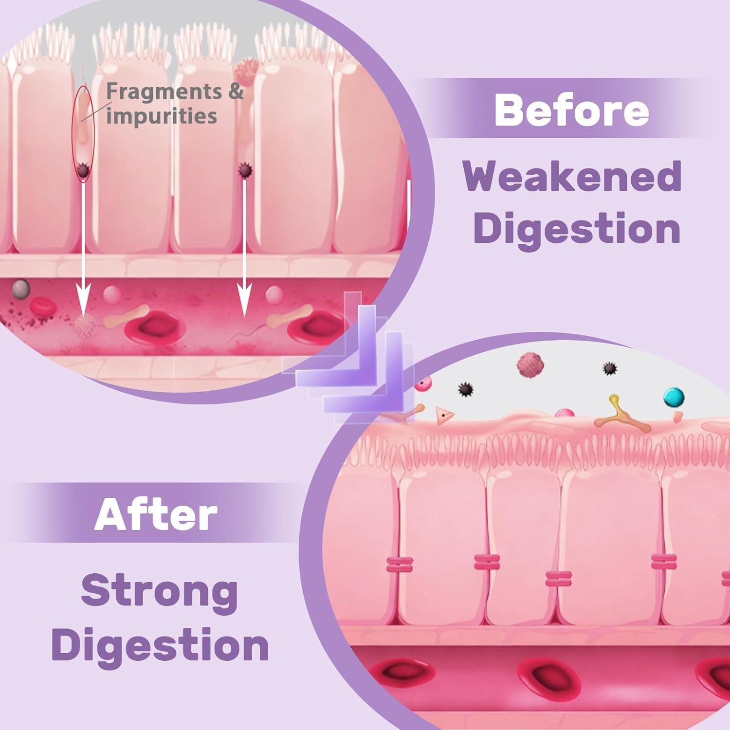 Extracto de Regaliz DGL Liposomal Hesperilyntis 118 ml - Digestivo
