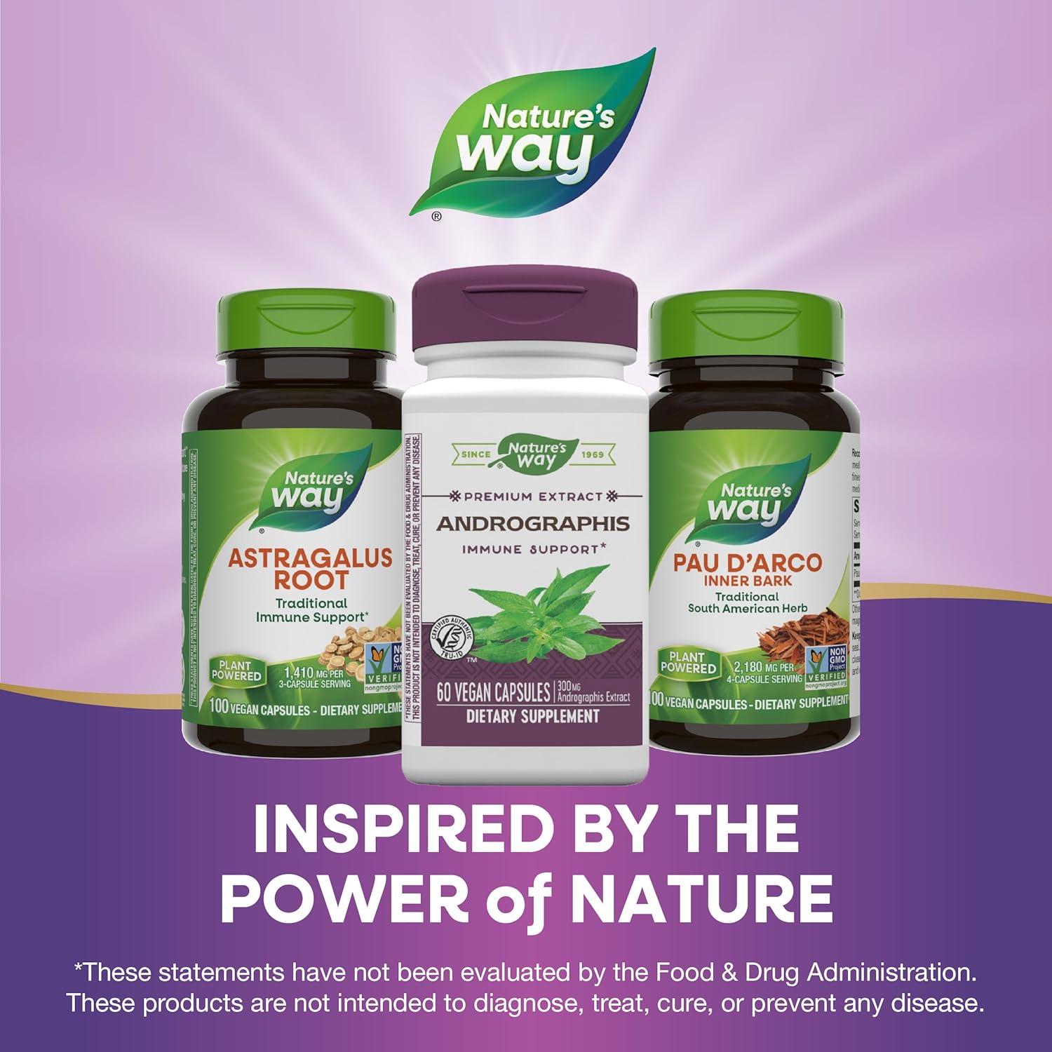 Extracto de Andrographis Nature's Way 300 mg 60 Cápsulas