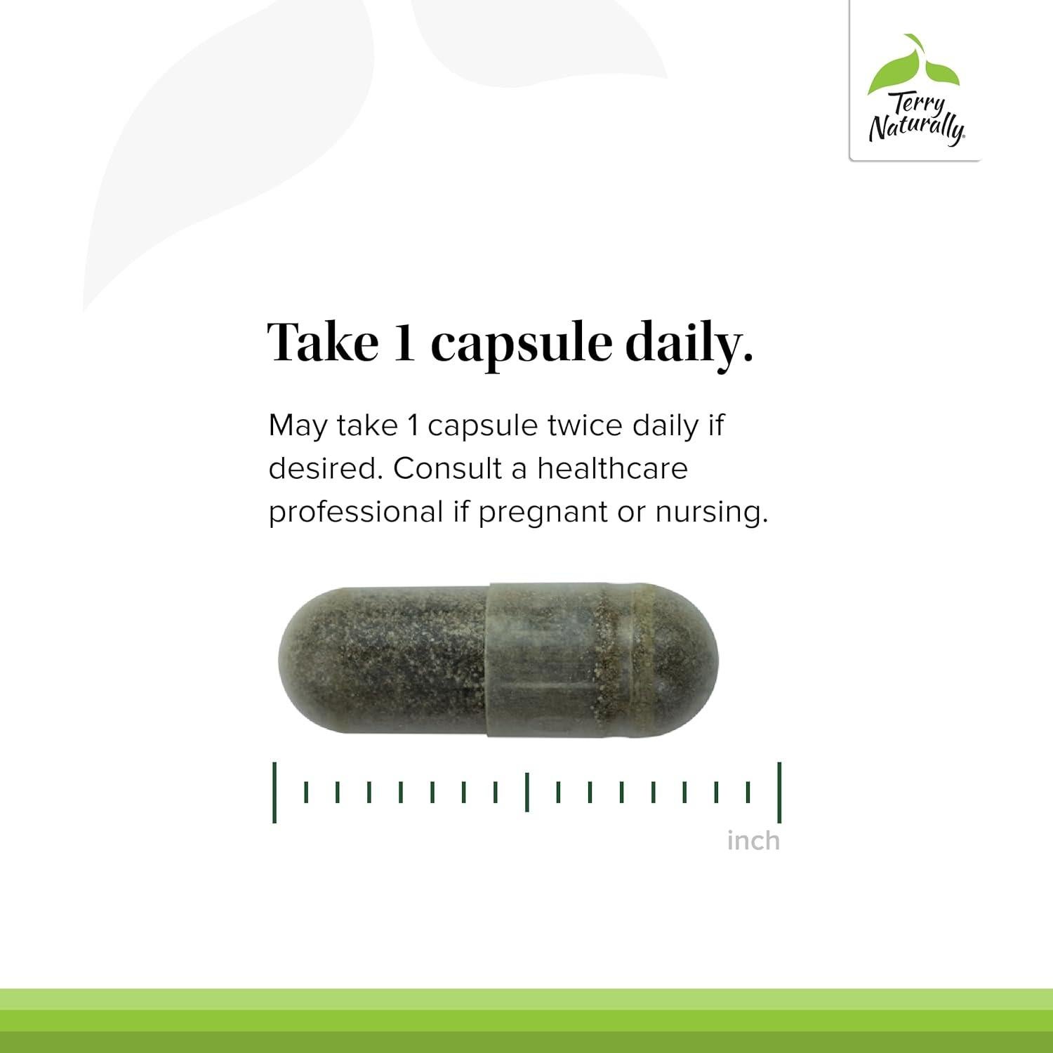 Terry Naturally Andrographis EP80 - Suplemento Vegano 60 Cápsulas