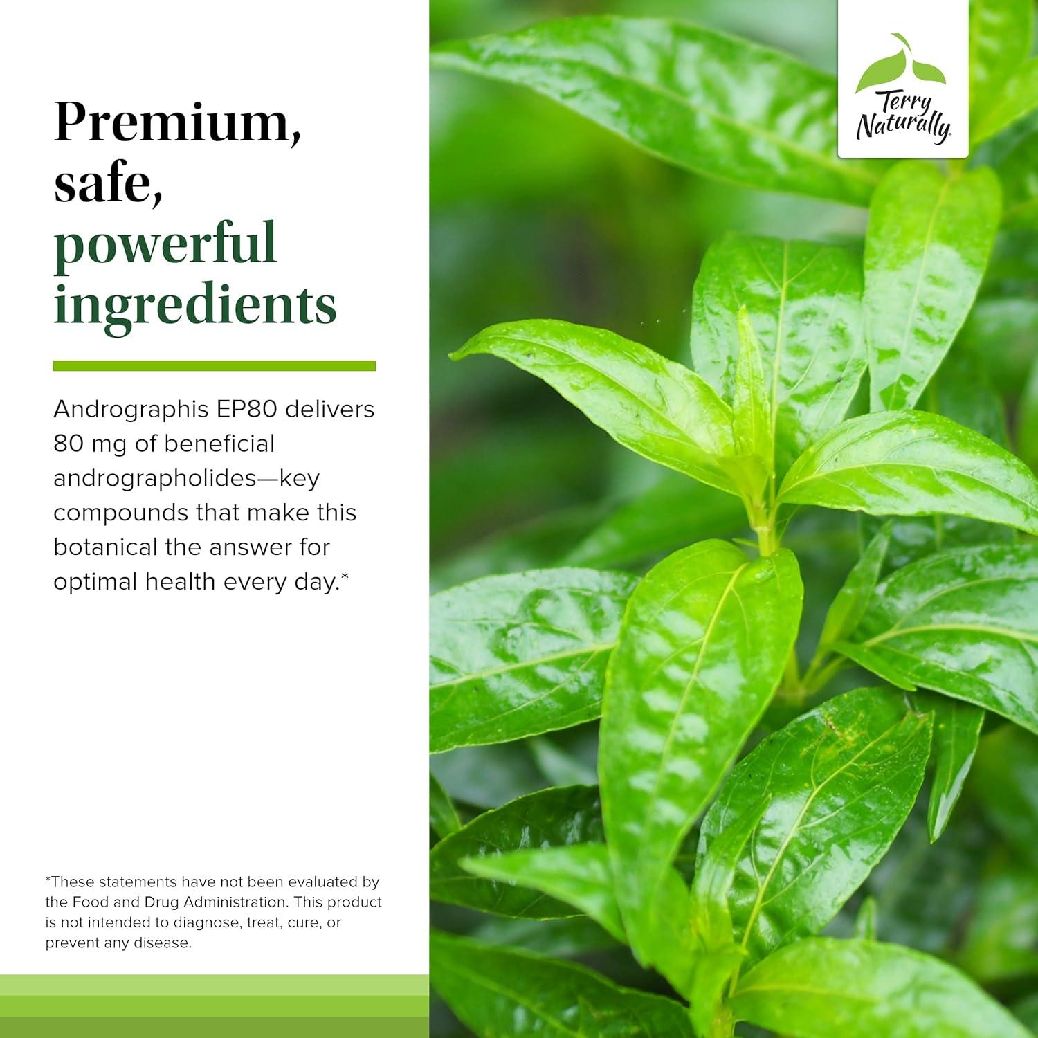 Terry Naturally Andrographis EP80 - Suplemento Vegano 60 Cápsulas