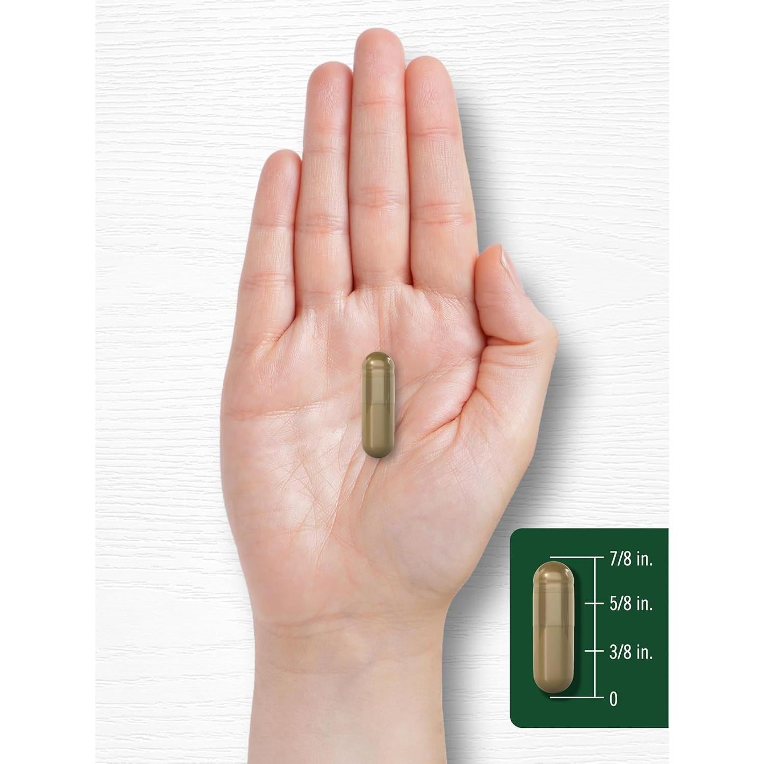 Cápsulas de Andrographis Paniculata Carlyle 8000mg 90 Píldoras