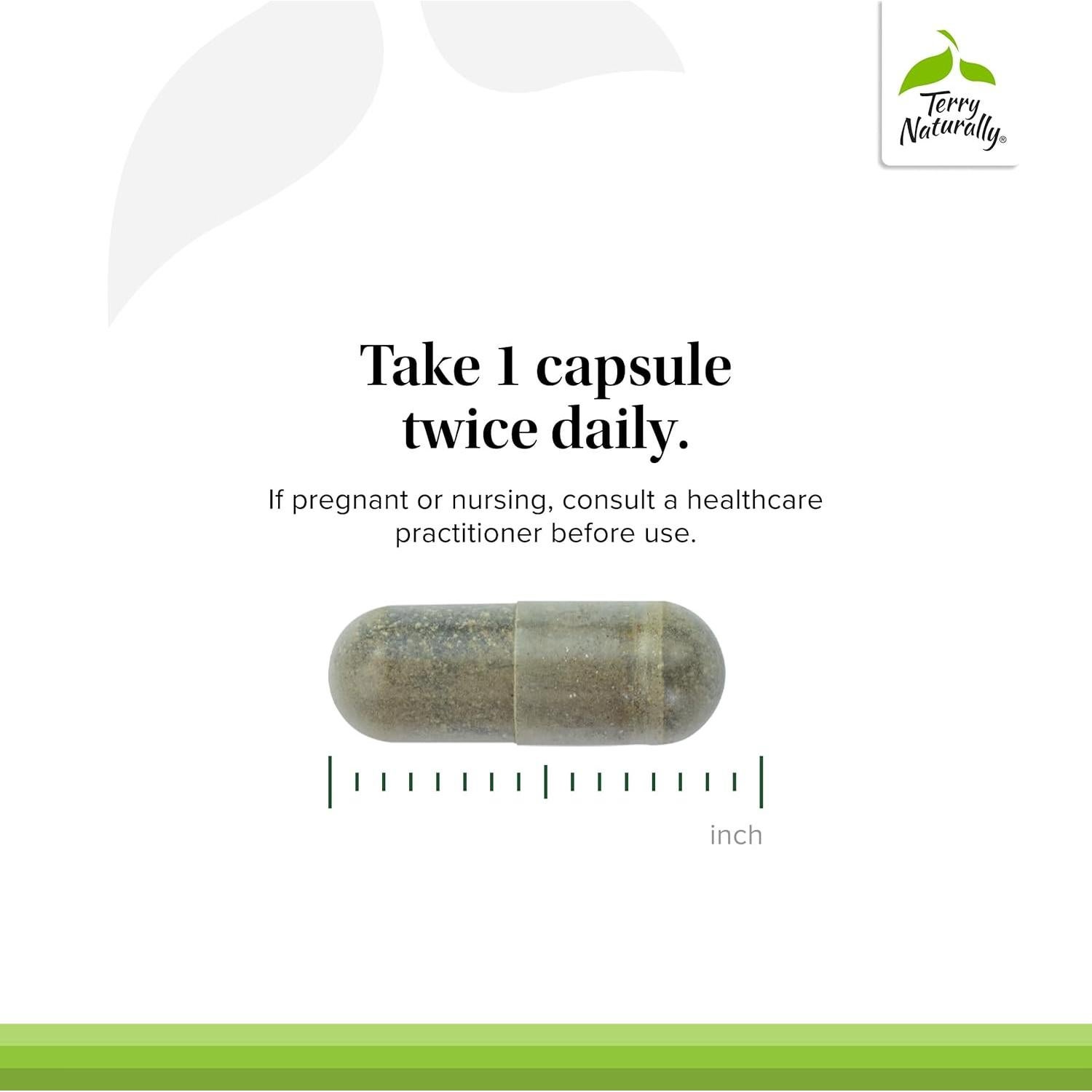 Terry Naturally Andrographis EP80 - Suplemento Vegano 60 Cápsulas