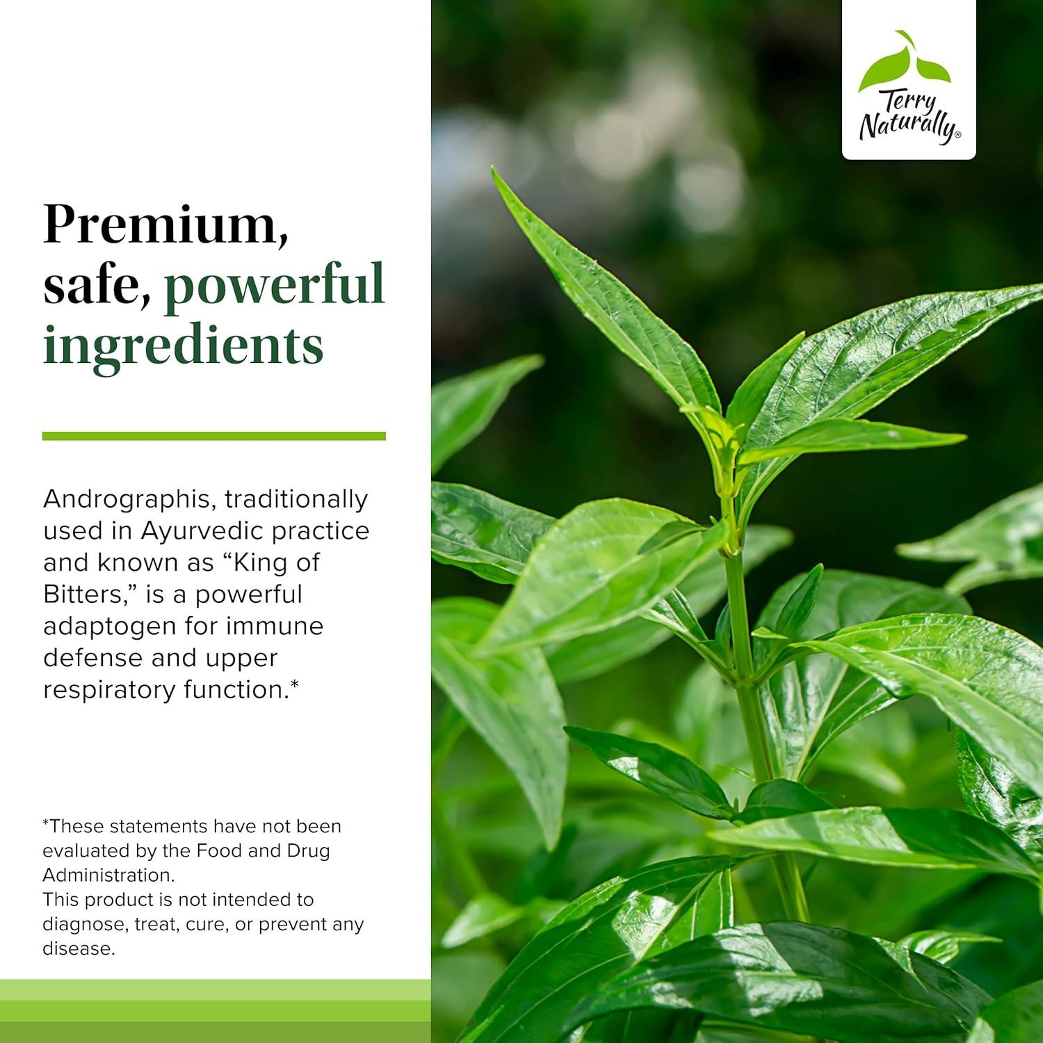 Terry Naturally Andrographis EP80 - Suplemento Vegano 60 Cápsulas