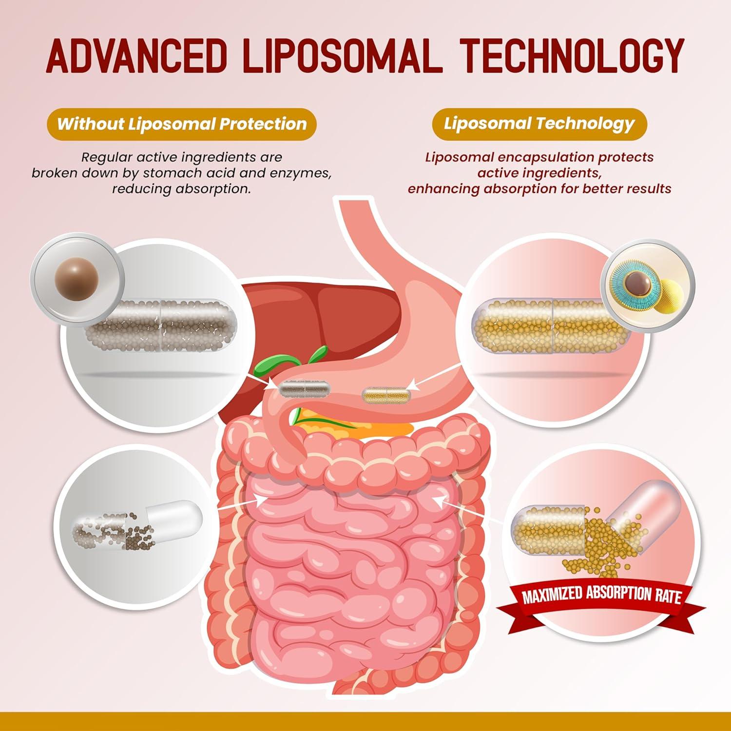 Suplemento Liposomal HarmoVira 180 Cápsulas Veganas Digestión