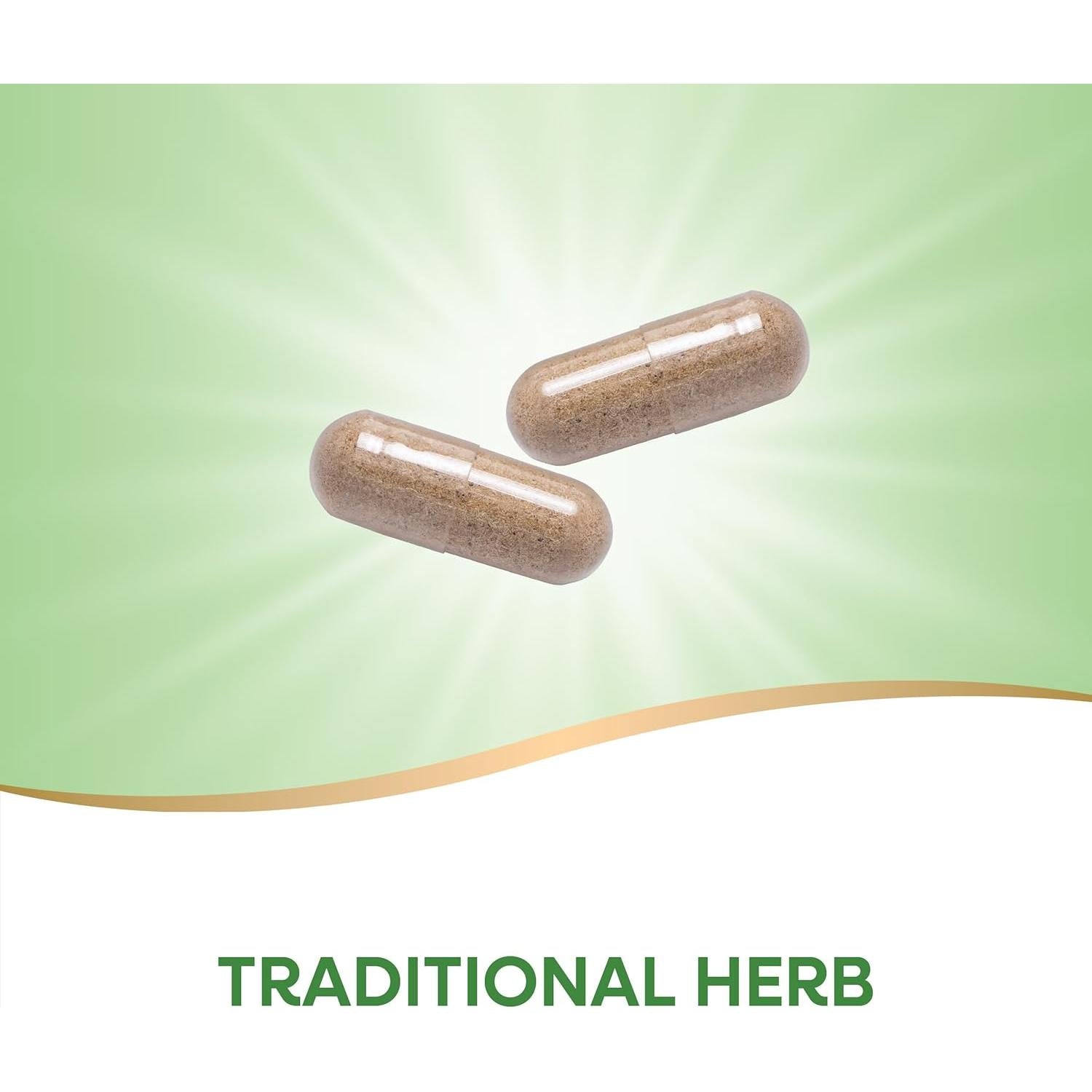 Escoba de Carnicero Nature's Way 720 mg 100 Cápsulas Veganas