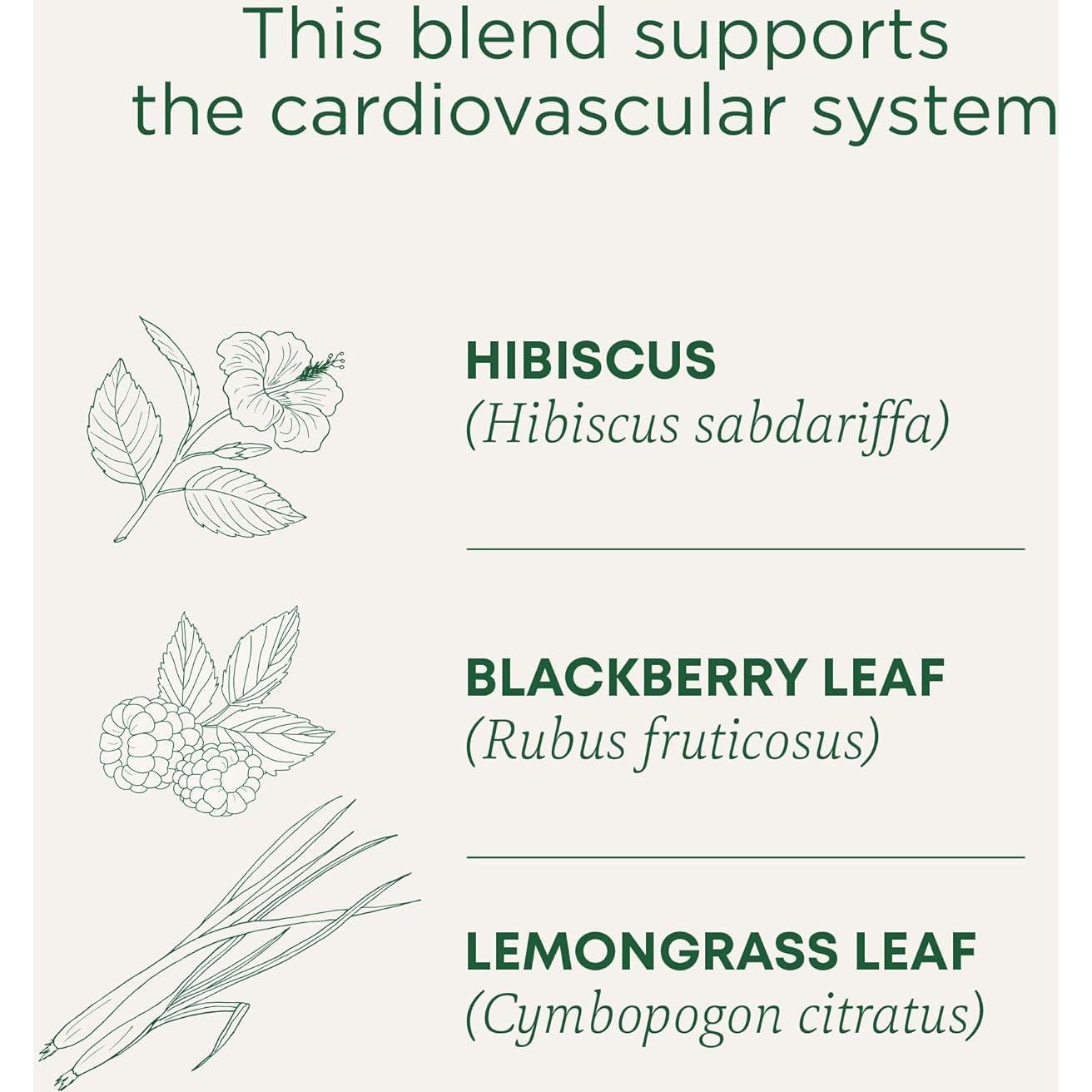 Té de Hibisco Orgánico Medicinales Tradicionales - 16 Bolsitas