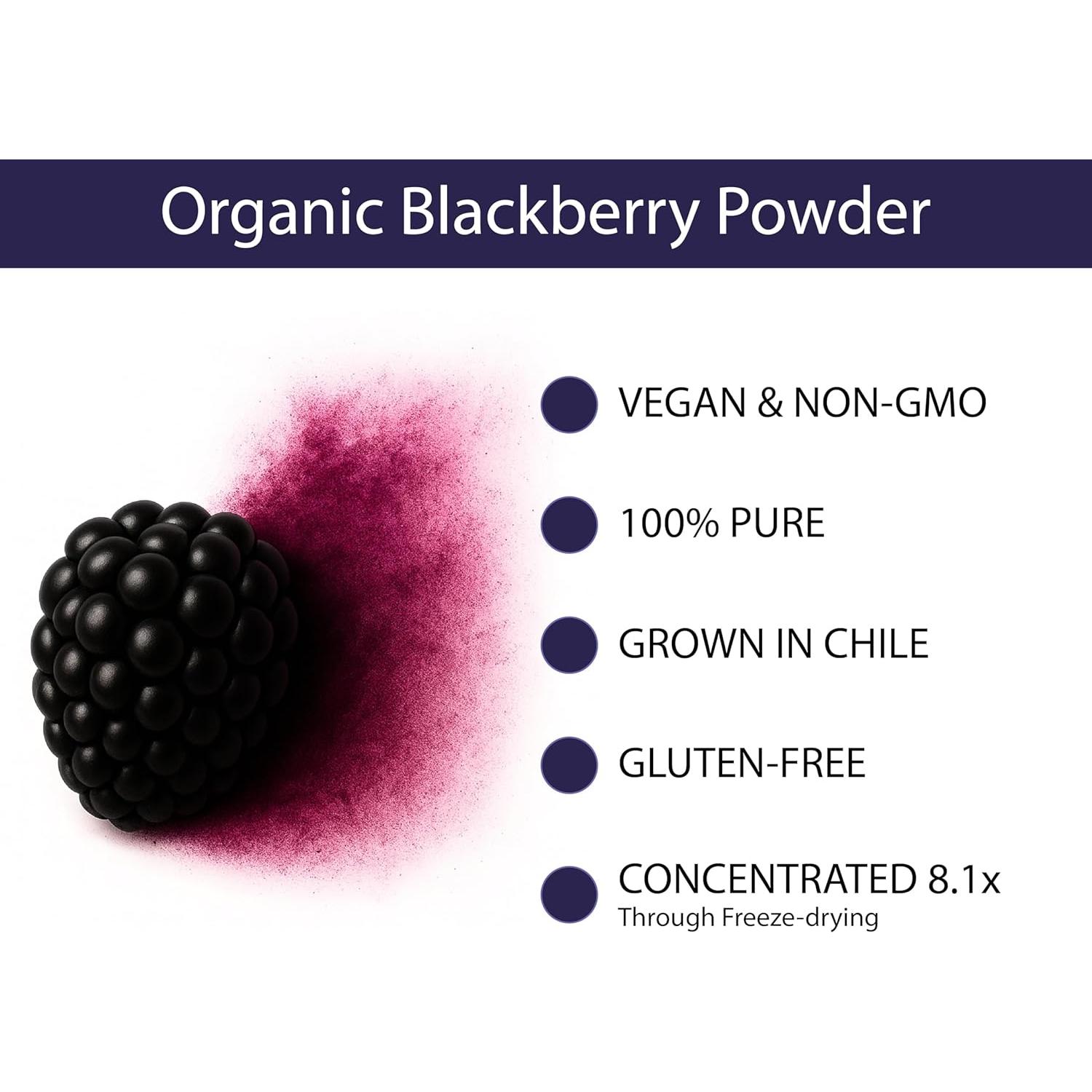 Polvo de Mora Orgánica KOYAH - 30 Porciones Liofilizado