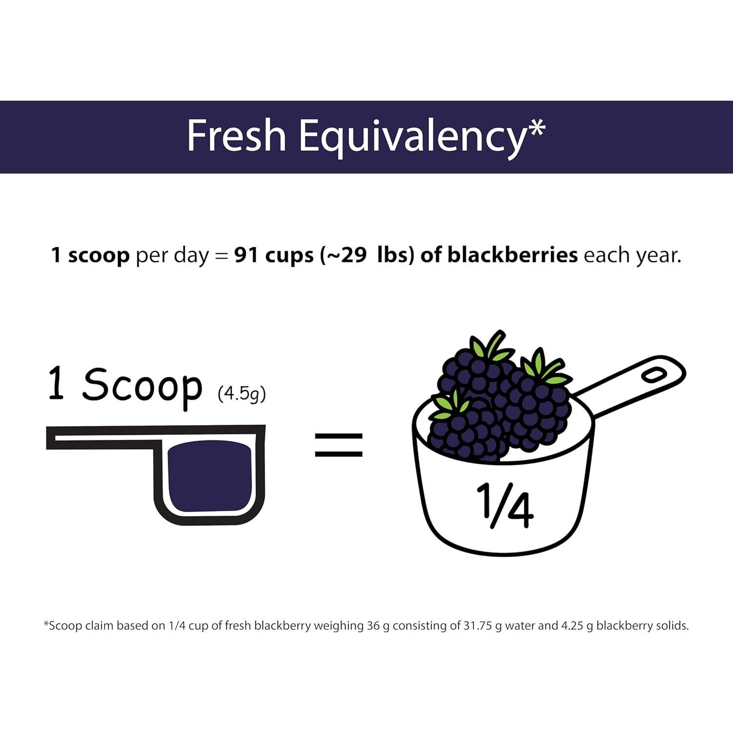 Polvo de Mora Orgánica KOYAH - 30 Porciones Liofilizado