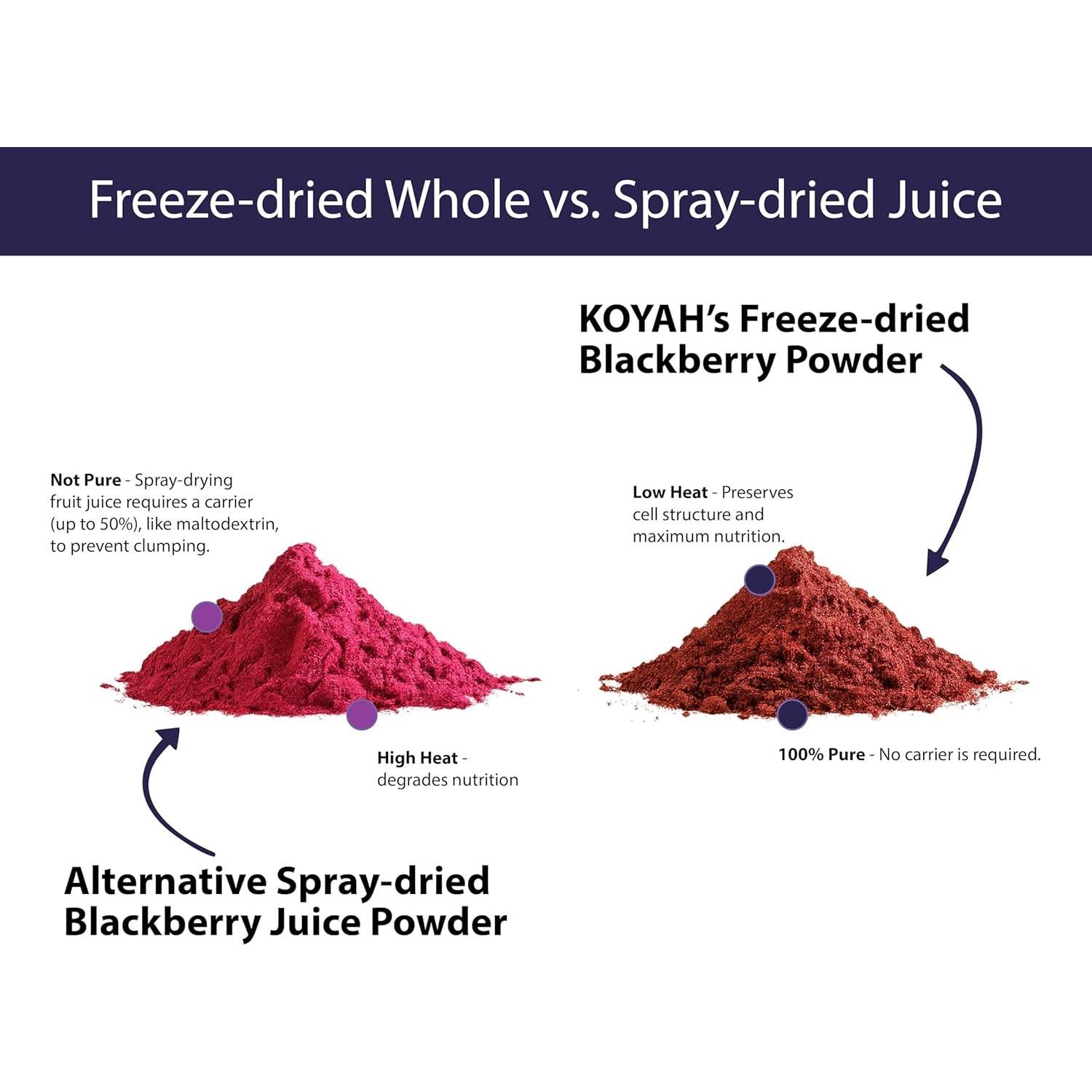 Polvo de Mora Orgánica KOYAH - 30 Porciones Liofilizado