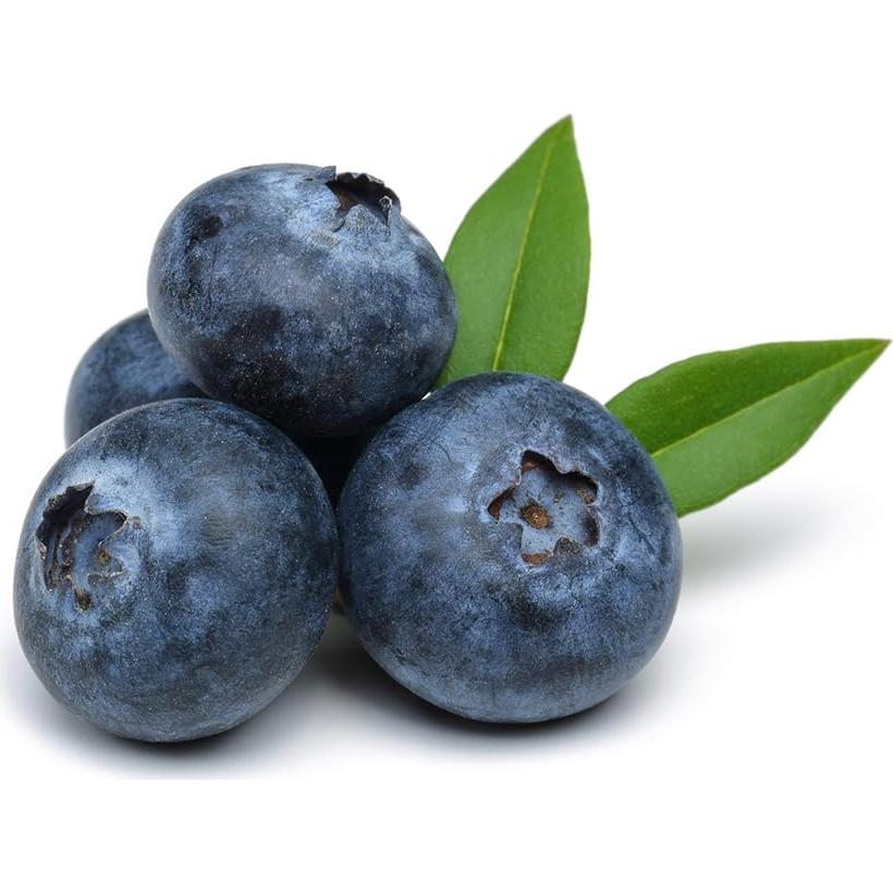 Extracto de Sabor a Mora OliveNation 453.6g - Sin Gluten, Vegano