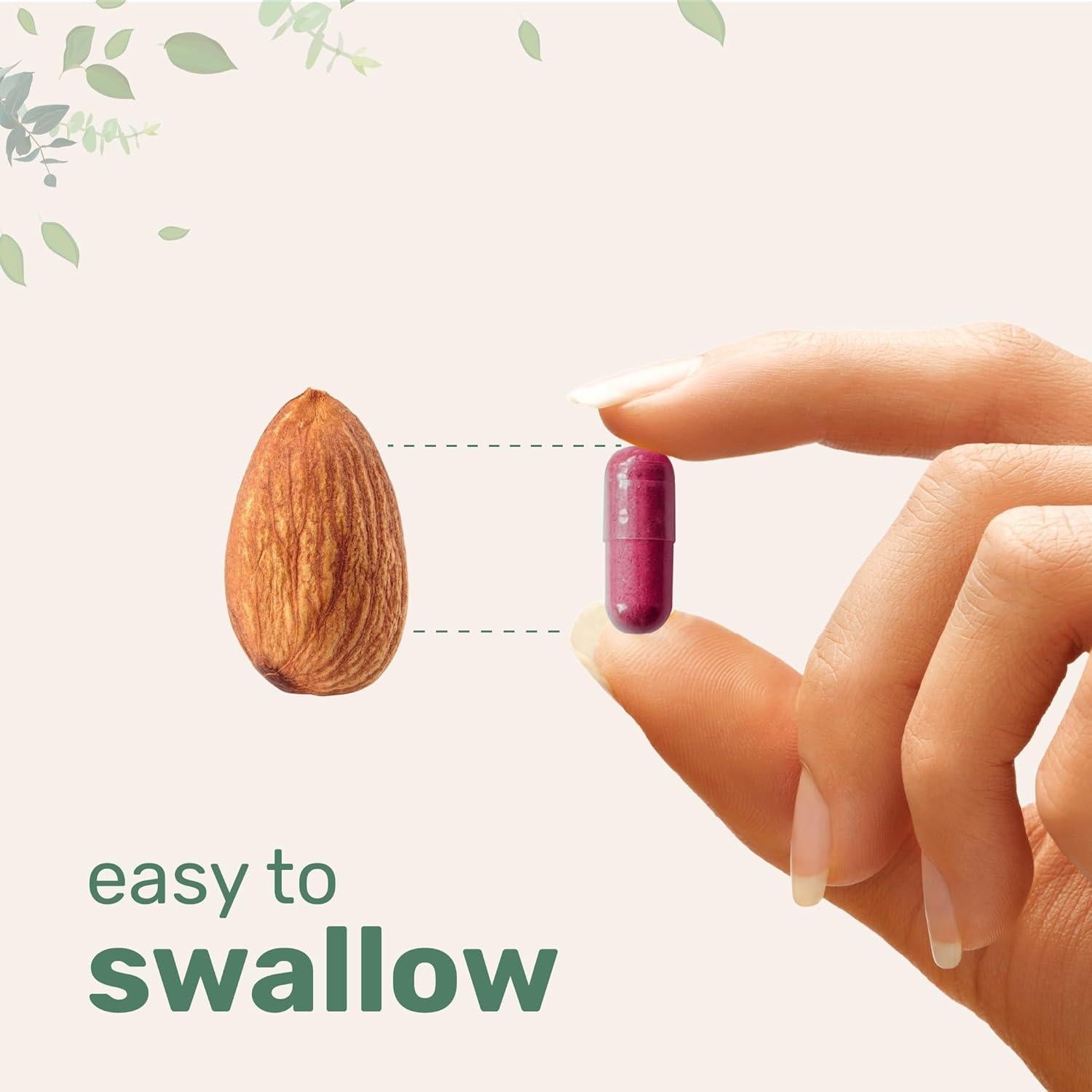 Suplemento de Arroz de Levadura Roja 1200mg CoQ10 100mg 240 Cápsulas