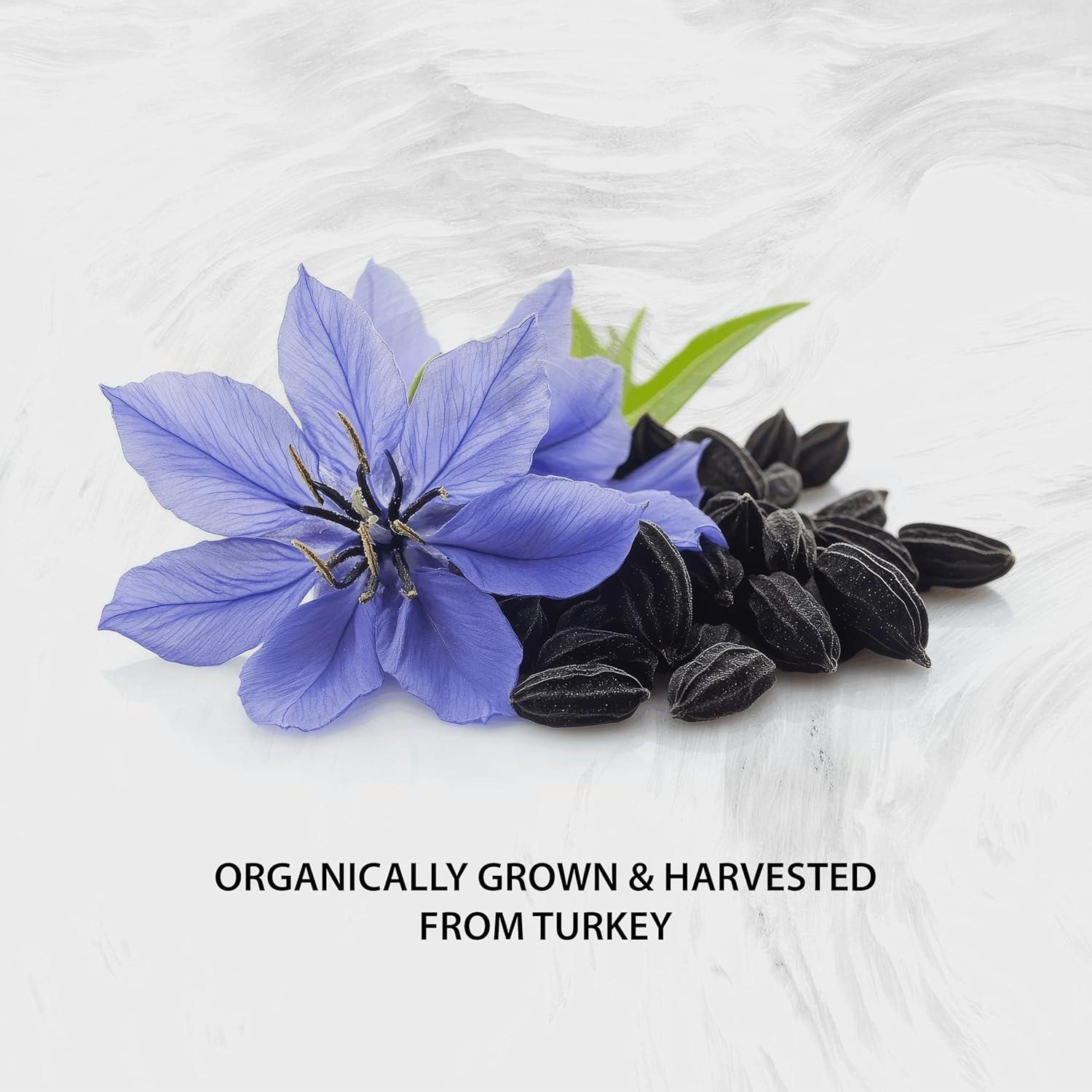 Aceite de Semilla Negra Naturalis 1000mg 60 Gelatinas Blandas