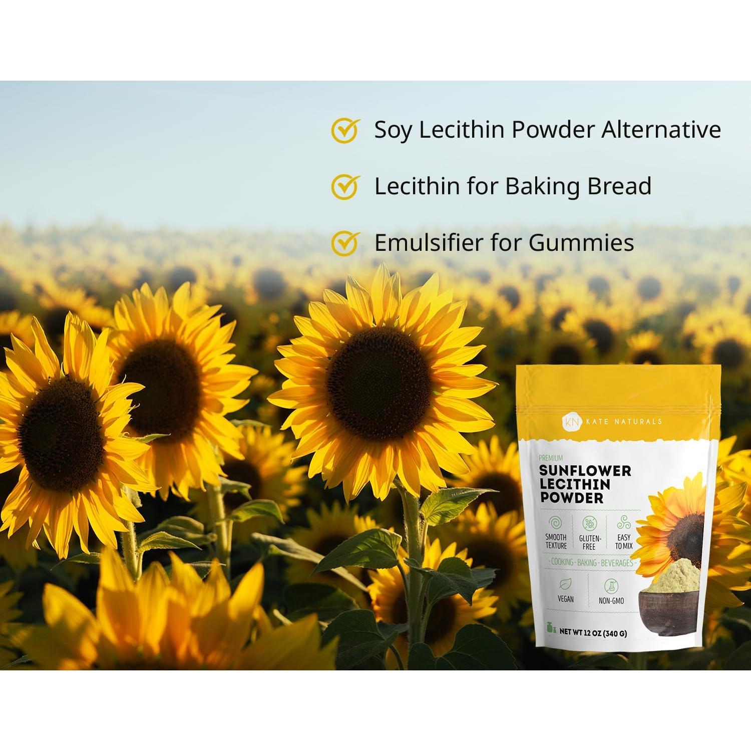 Polvo de Lecitina de Girasol Kate Naturals 340g - No OGM