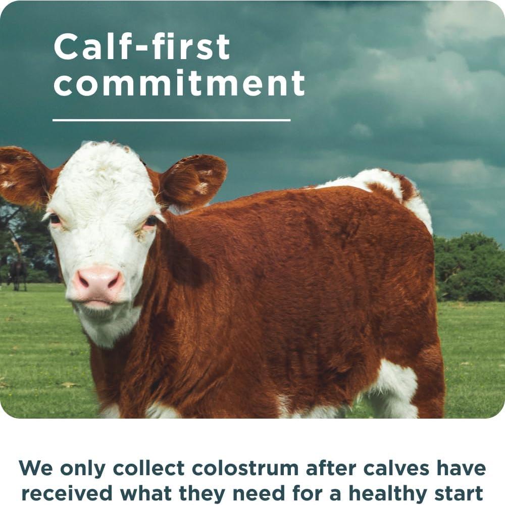 Colostro Bovino + Colágeno Ancient Nutrition 75 Cápsulas